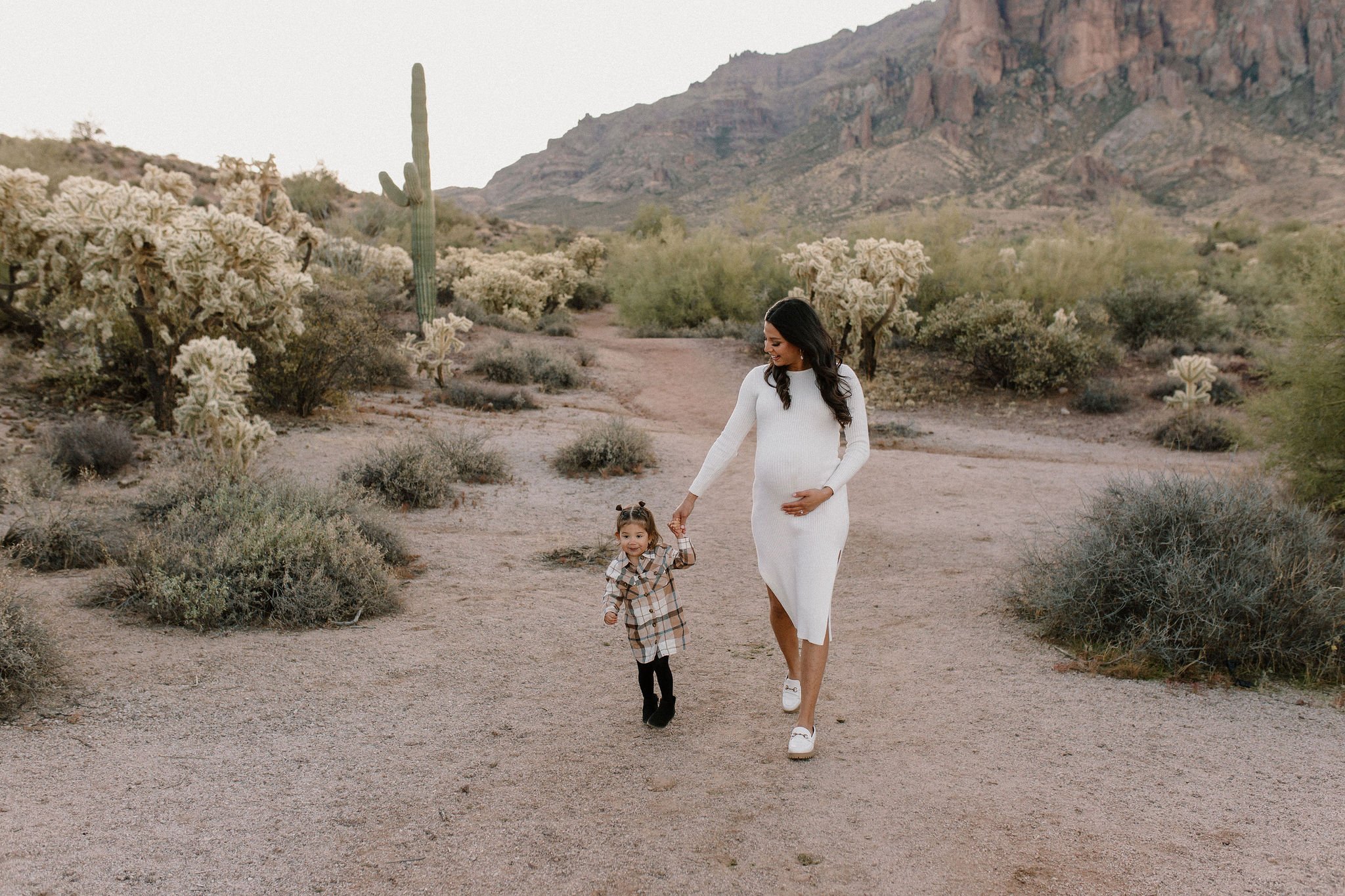 Mesa Arizona Maternity Photographer