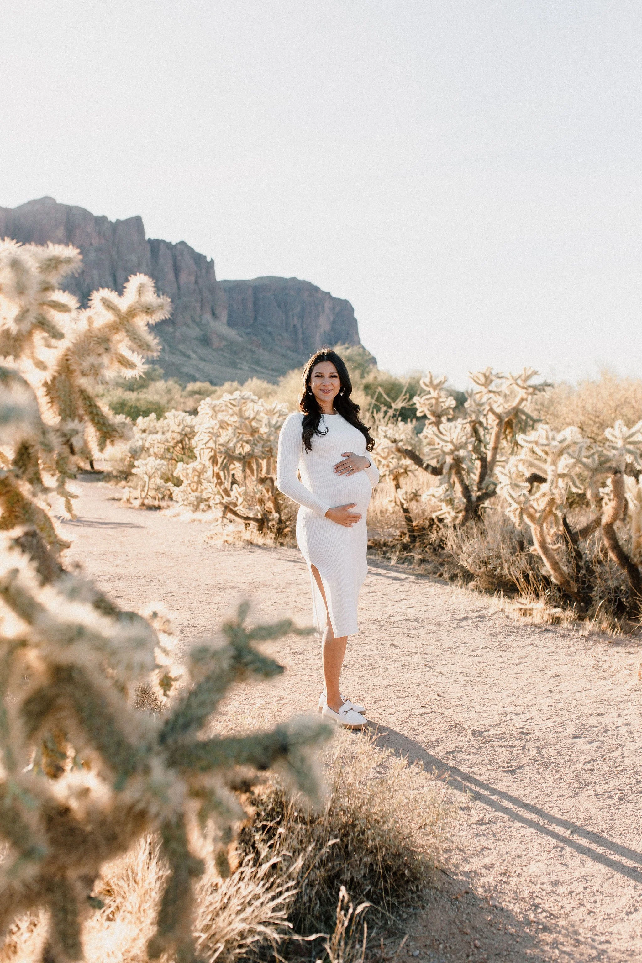 pregnant mom holding belly in desert family maternity pics in Lost Dutchman State Park