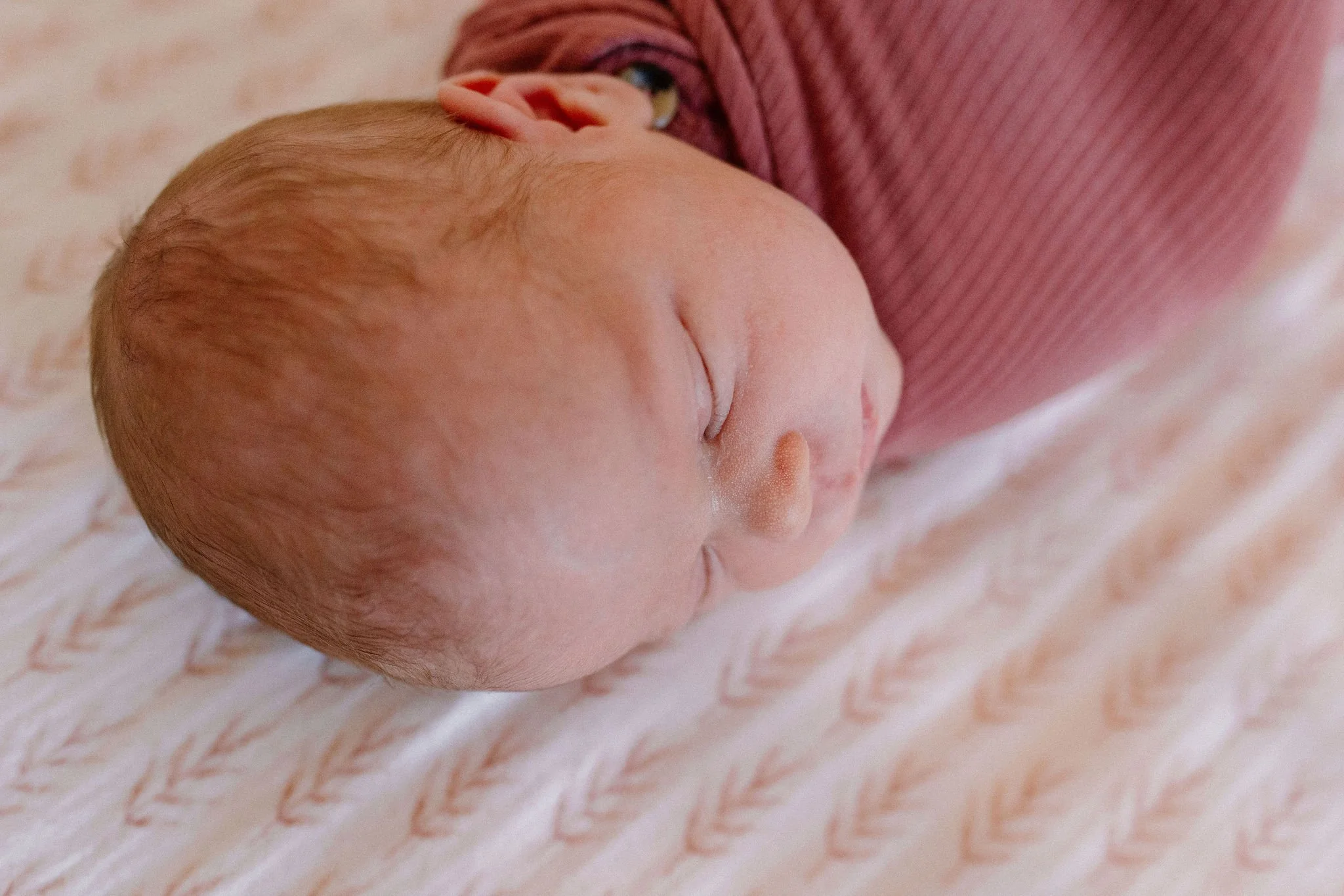 Tempe Arizona Newborn Photographer