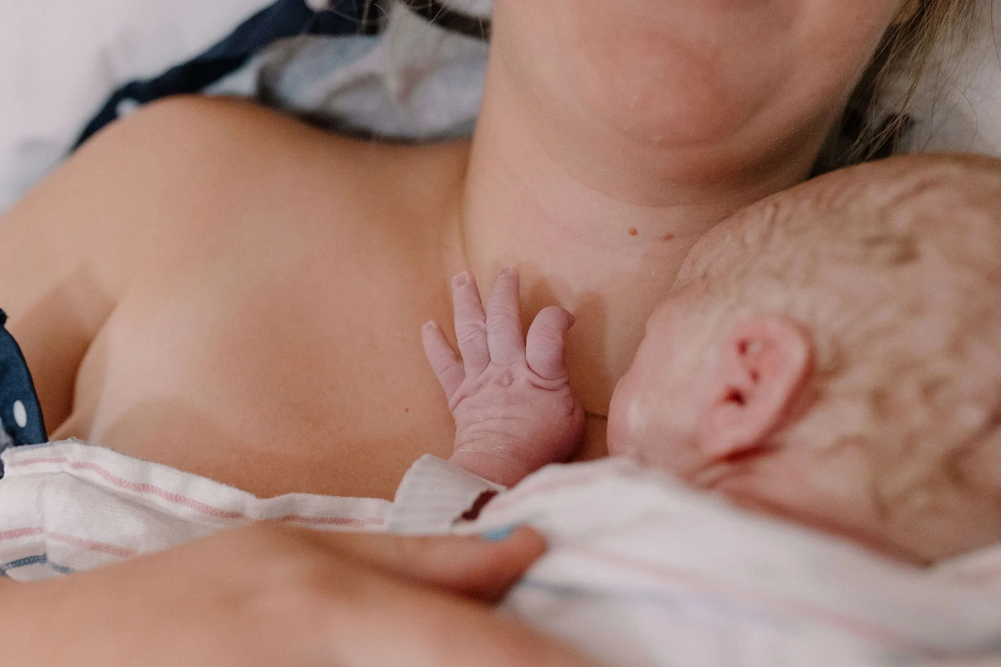 close-up of newborn baby hand immediately after hospital birth