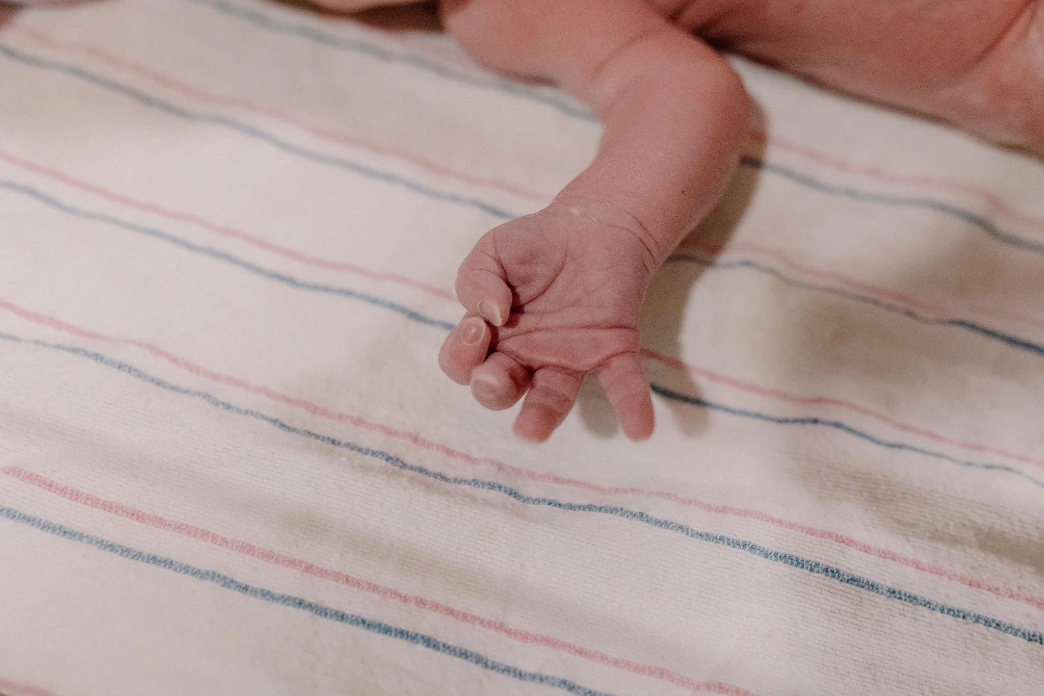 close-up of newborn baby hand immediately after hospital birth