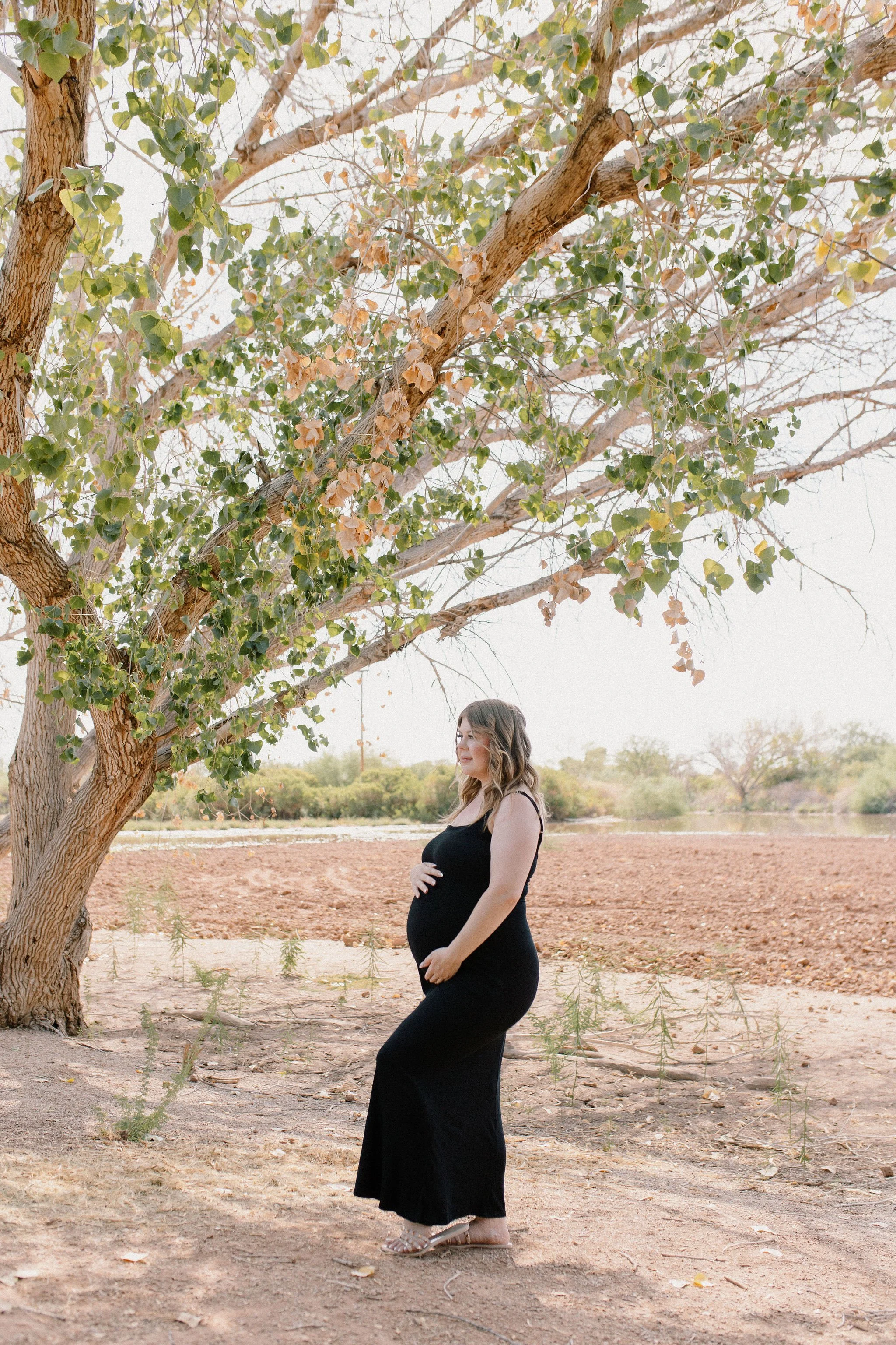 Gilbert Arizona Maternity Photographer