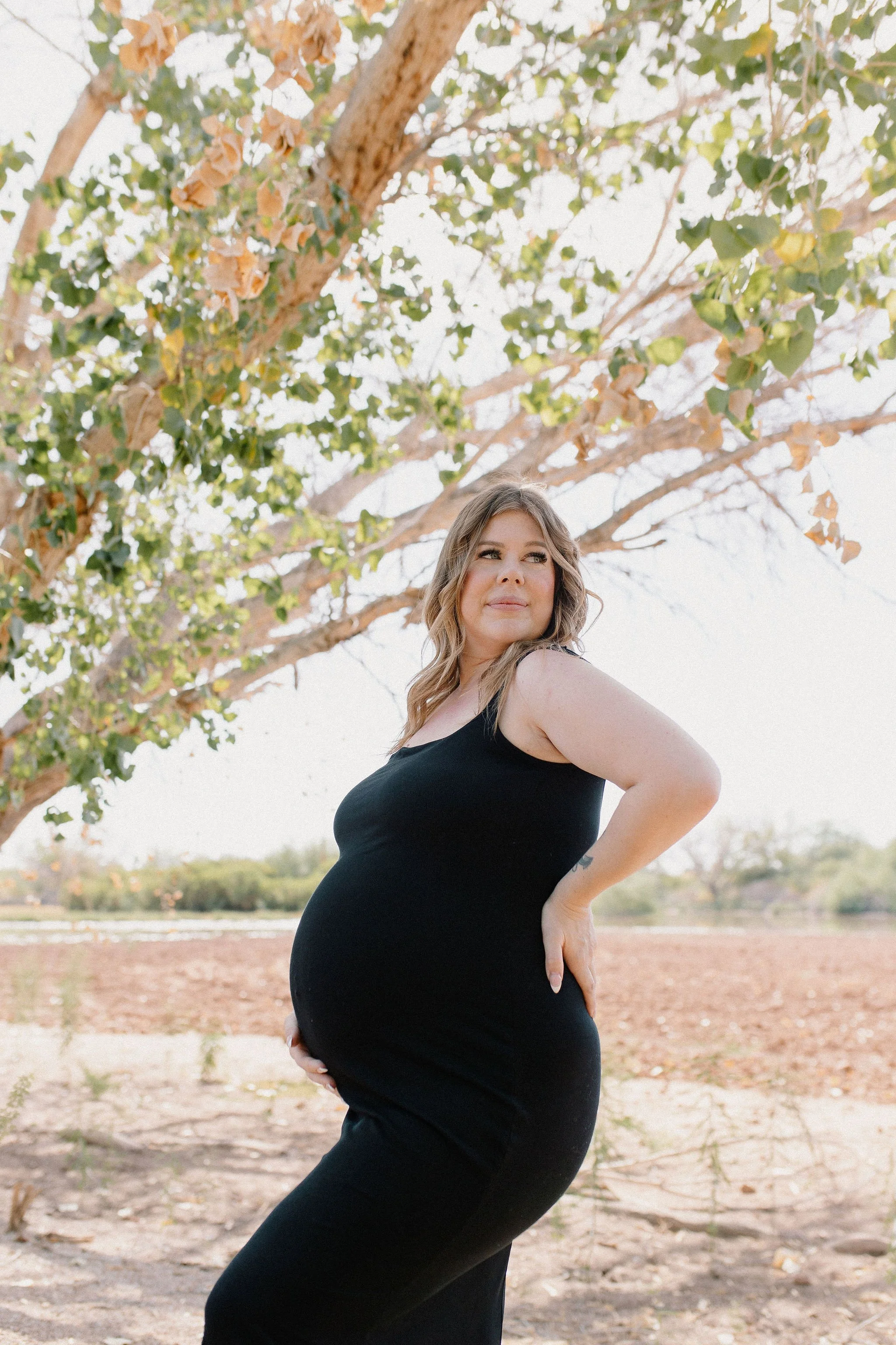 Gilbert Arizona Maternity Photographer