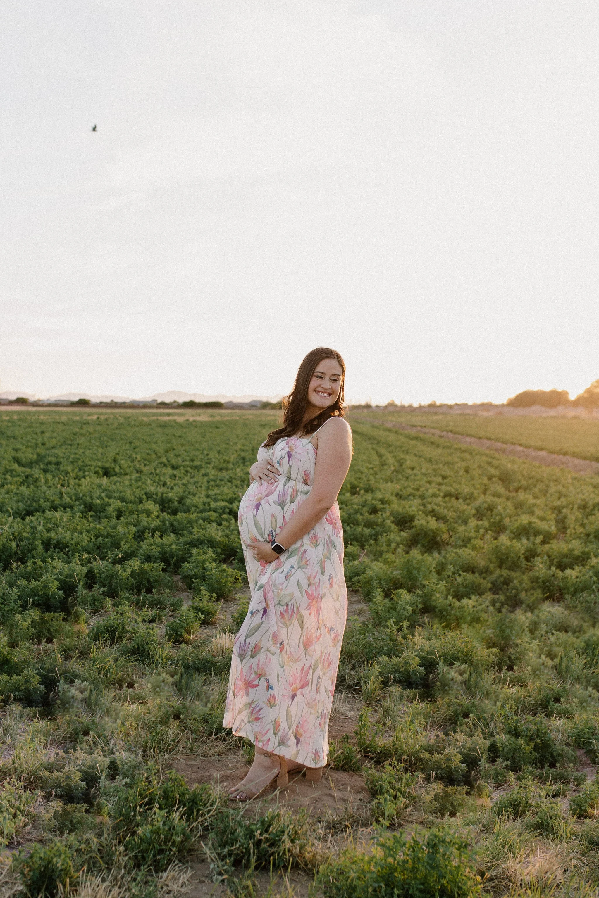 Gilbert Arizona Maternity Photographer