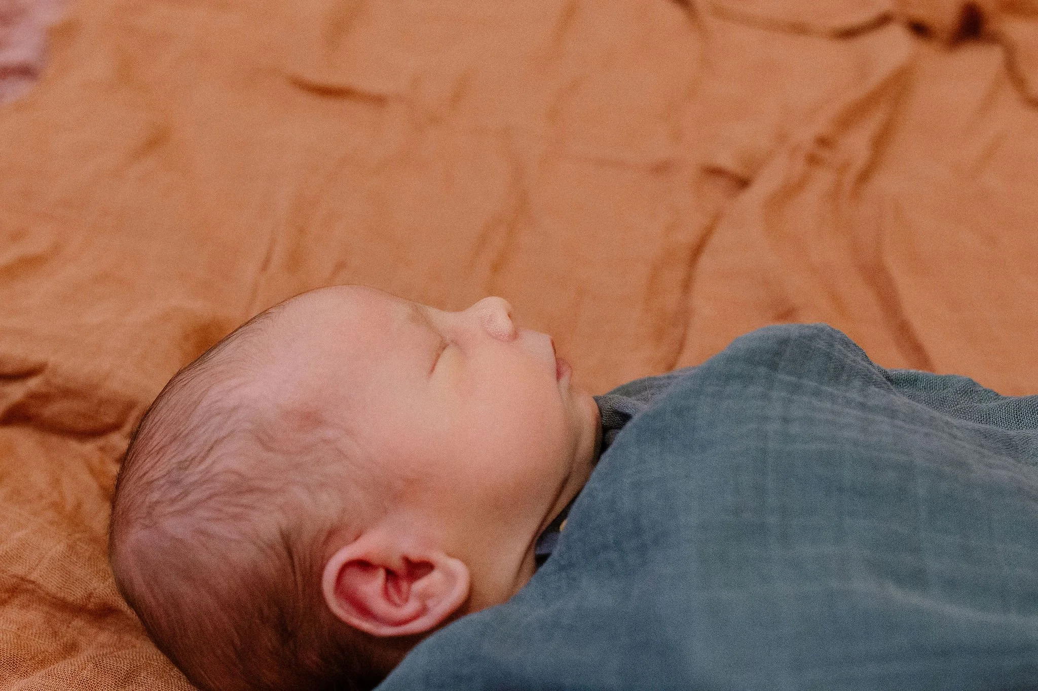 Scottsdale Arizona Newborn Photographer