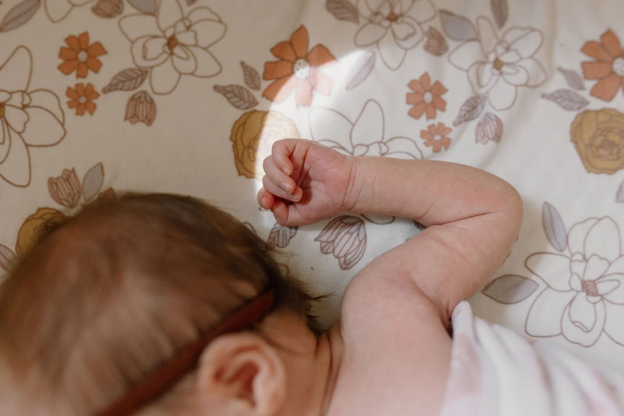 baby hand and fingers detail photos taken by newborn photographer