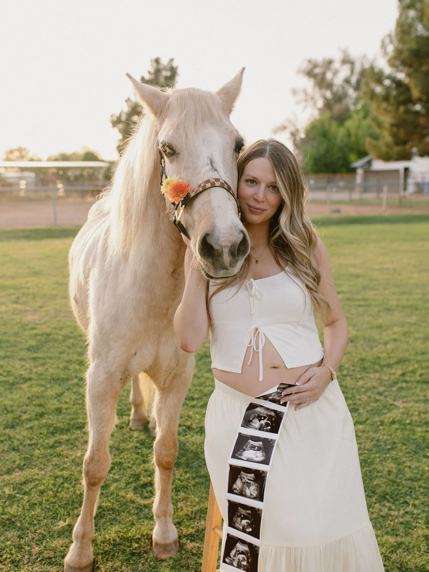 Every moment of this shoot &mdash; the glowing mama-to-be, wide open pasture, the sweetest horse &mdash; was pure magic ✨ 

I&rsquo;ve never worked with a horse and I was a liiiiiittle nervous, but Shasta was the sweetest and smartest guy and now I&r