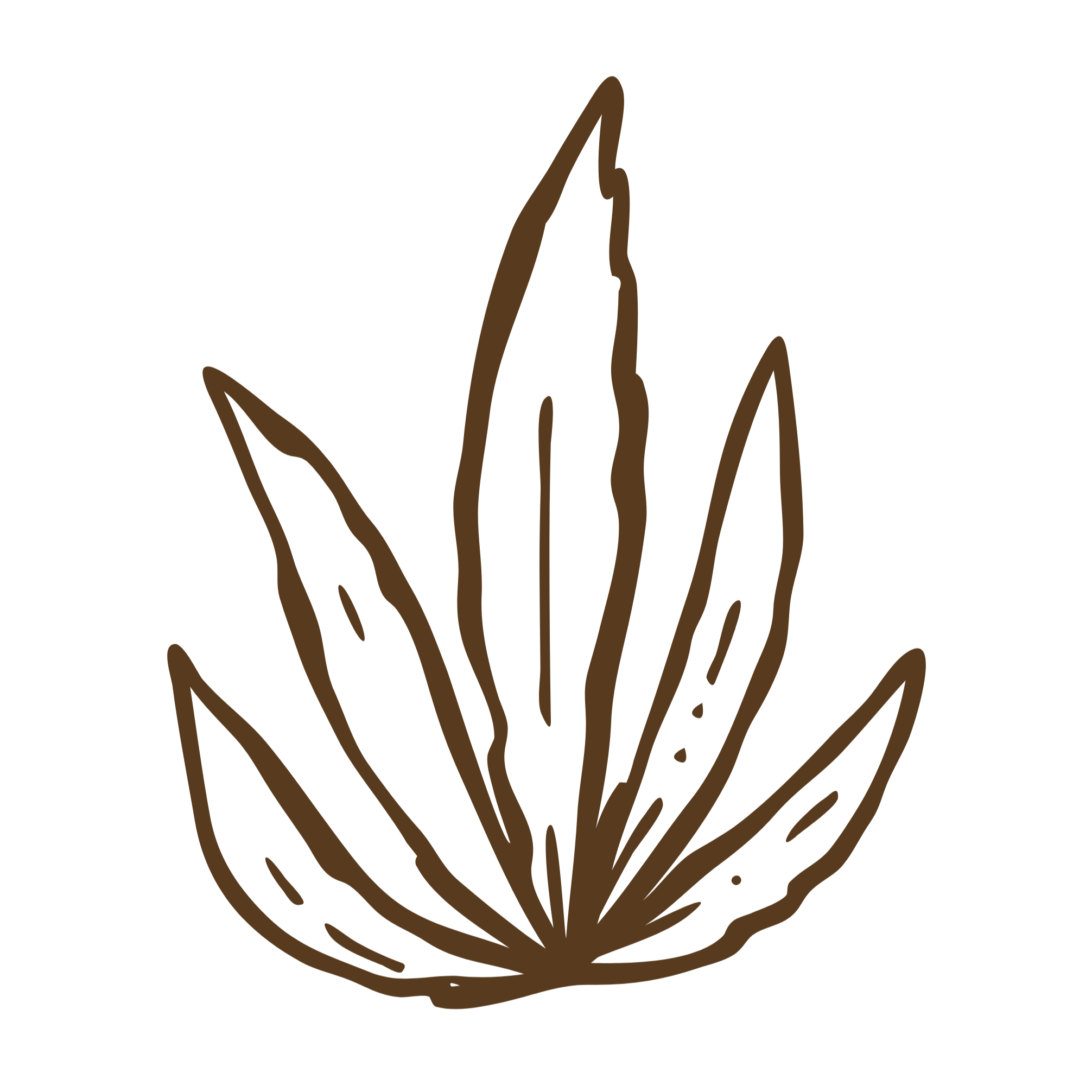 Outline sketch of a wildflower in brown on a black background