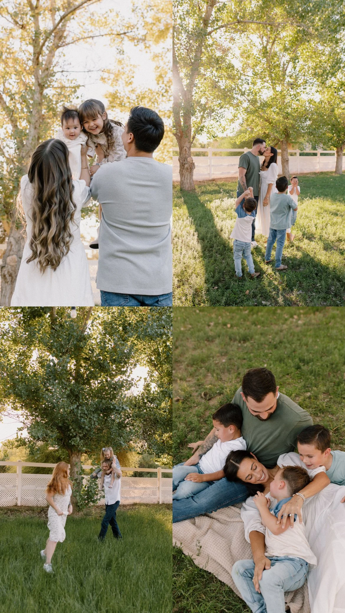 collage of Queen Creek fall mini sessions at Cottonwood Grove with green grass and green trees including families