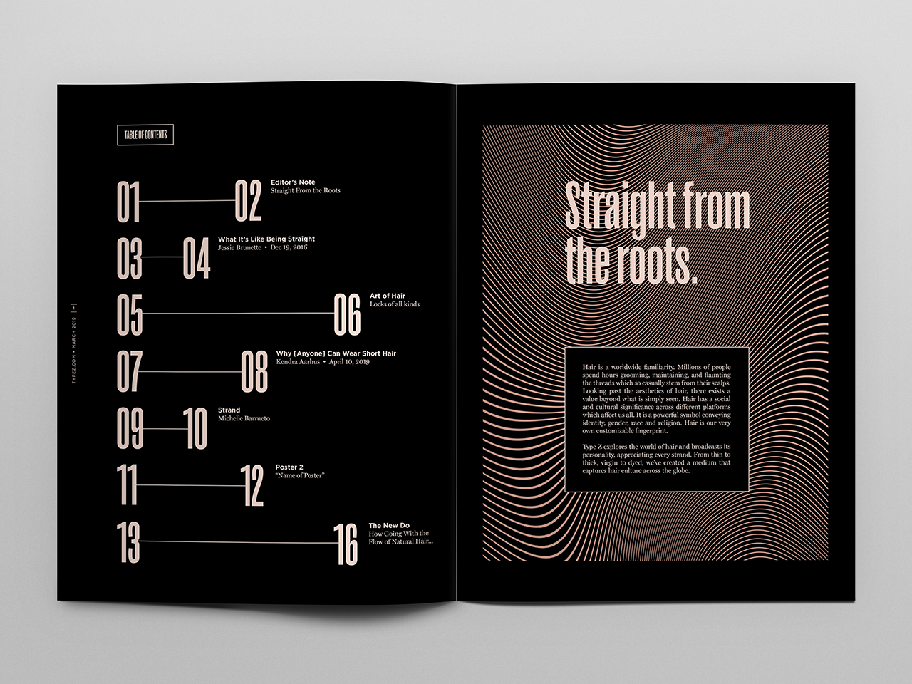 Table of Contents.png