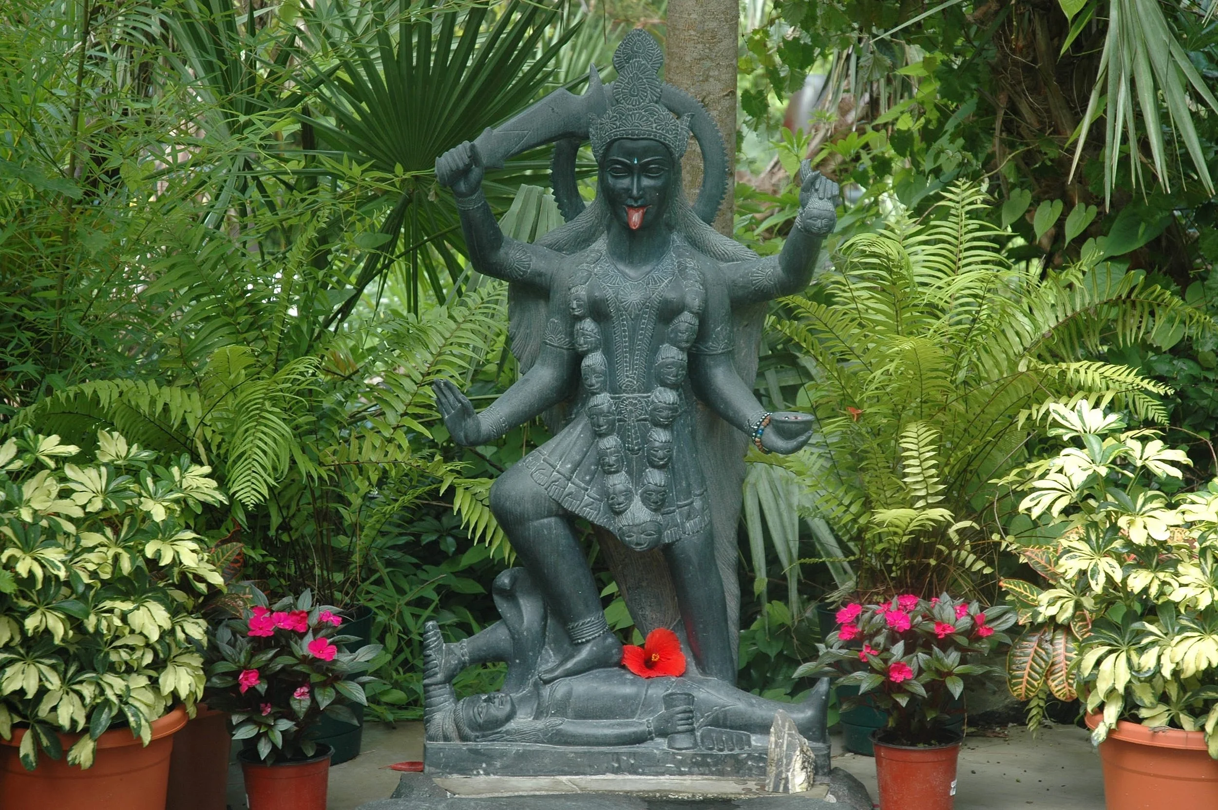Jungle Kali 6 05.jpg
