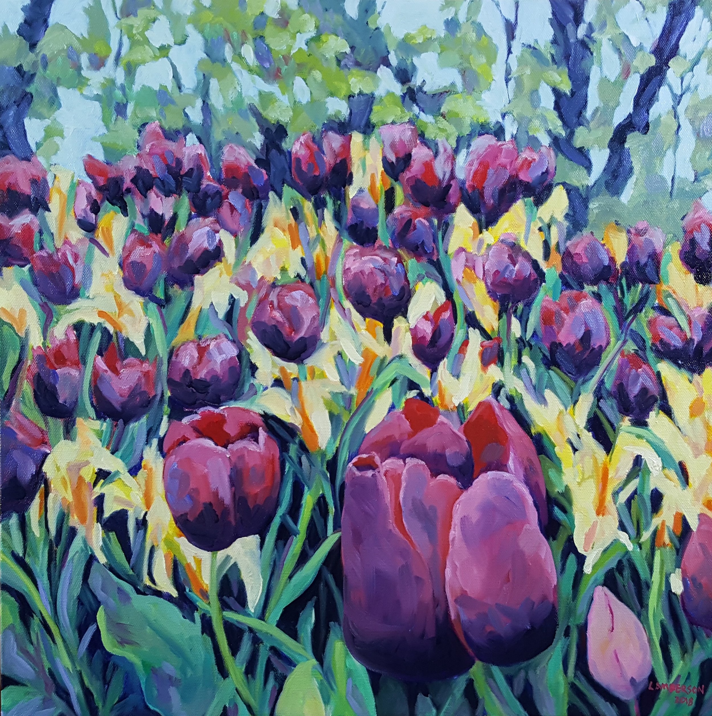 Tulip Field