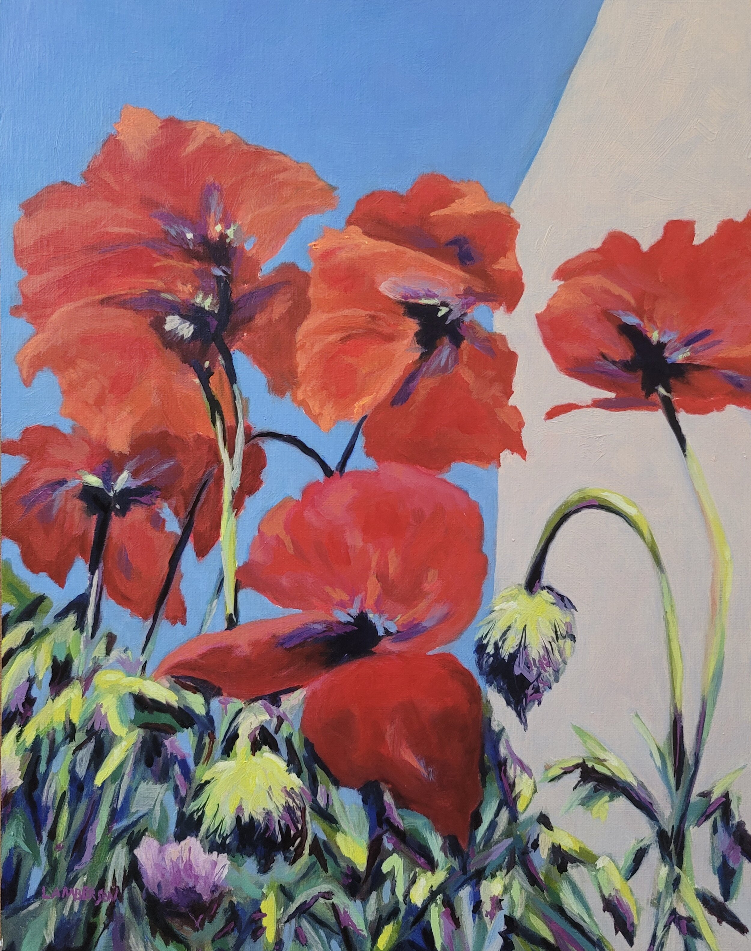 Blue Sky Poppies