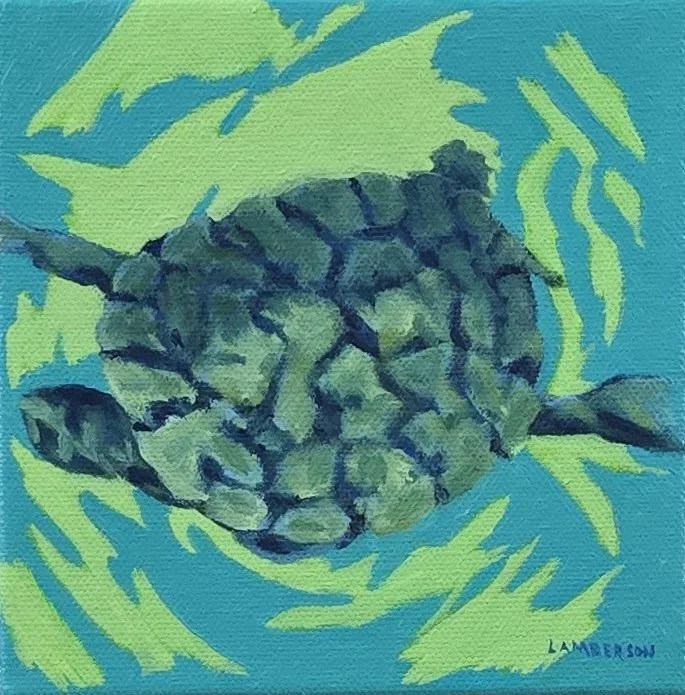 Turtle Swim #5