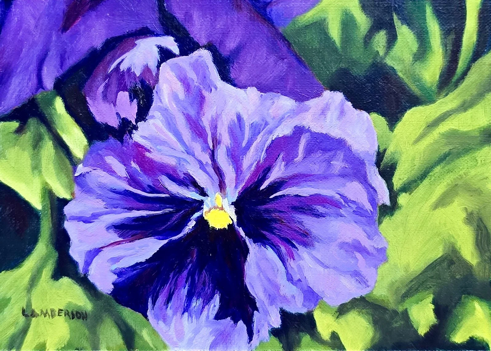 Purple Pansy