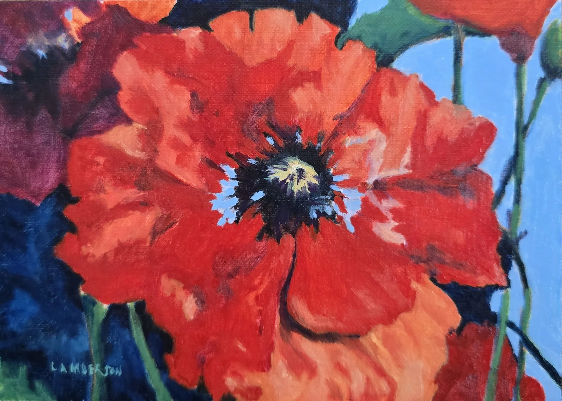 Poppies