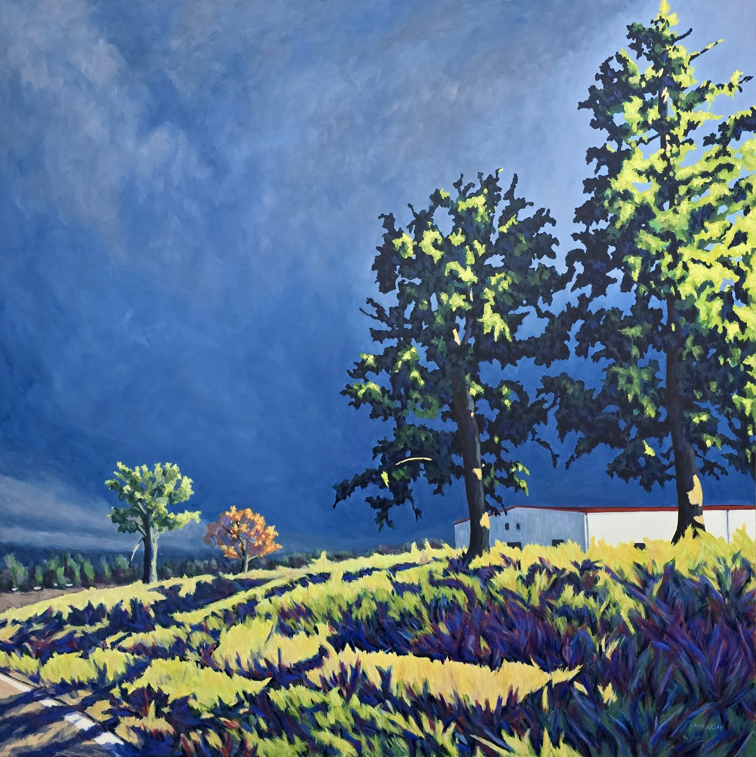 Late Afternoon 