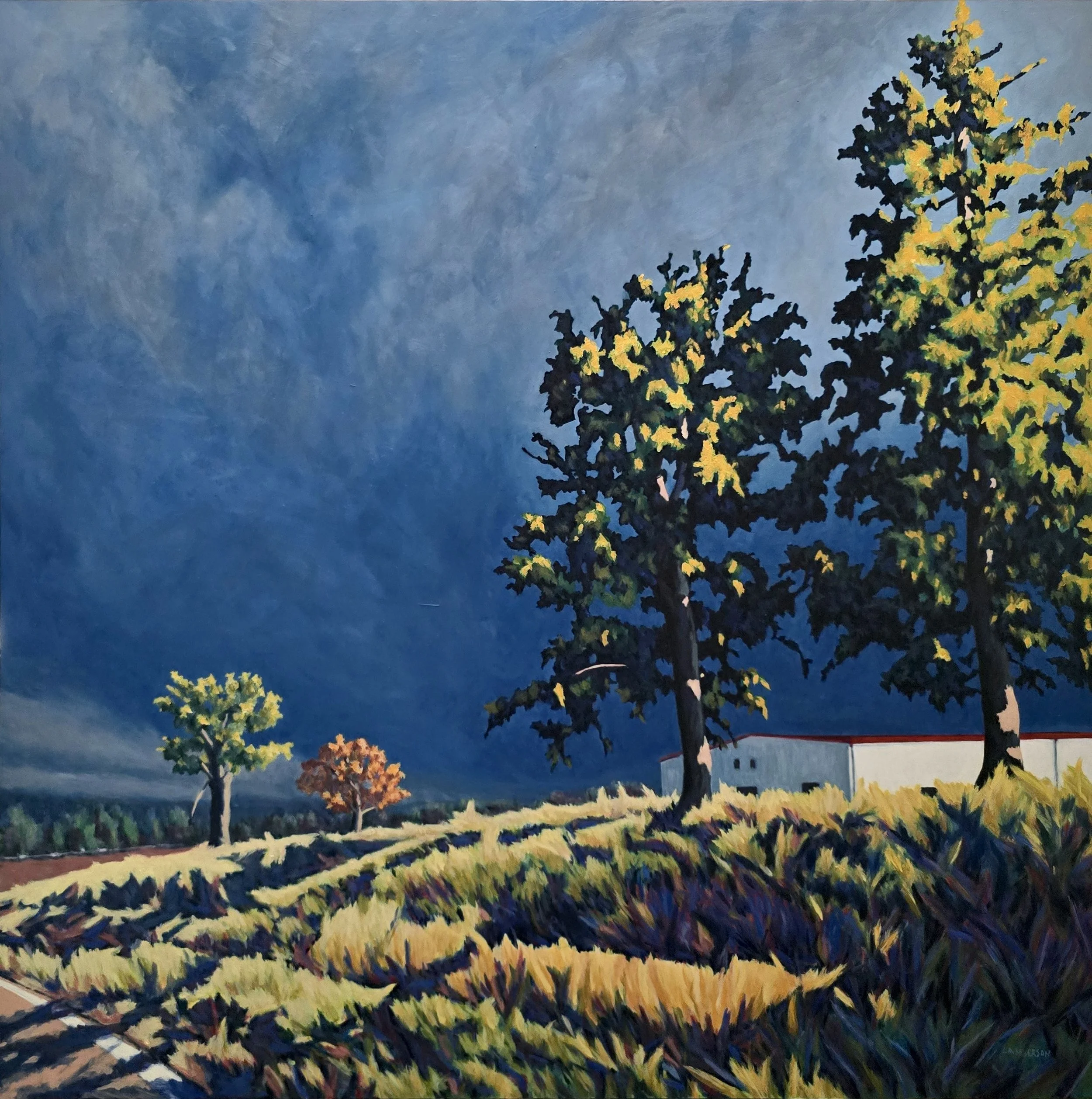 Late Afternoon