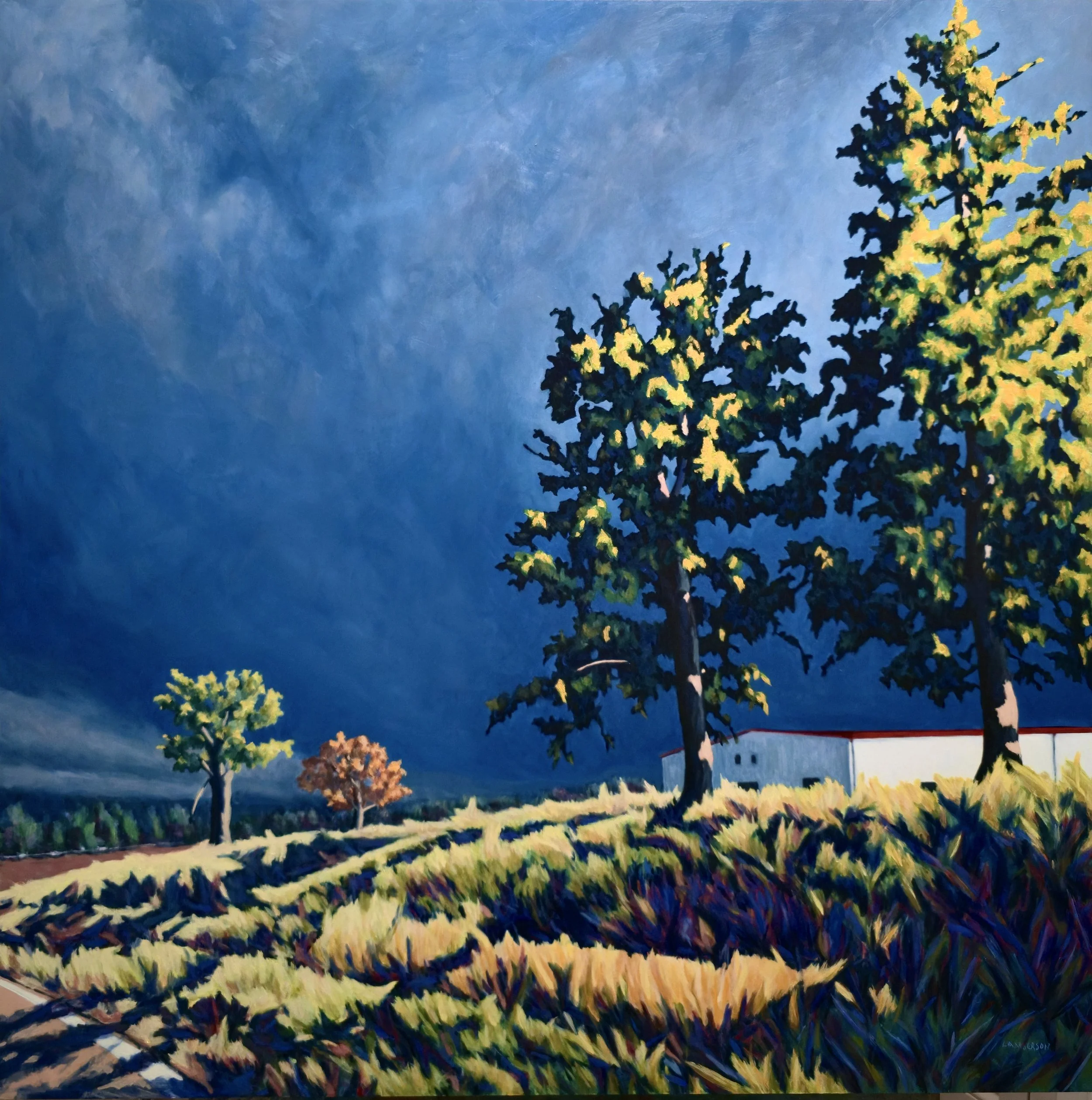 Late Afternoon 