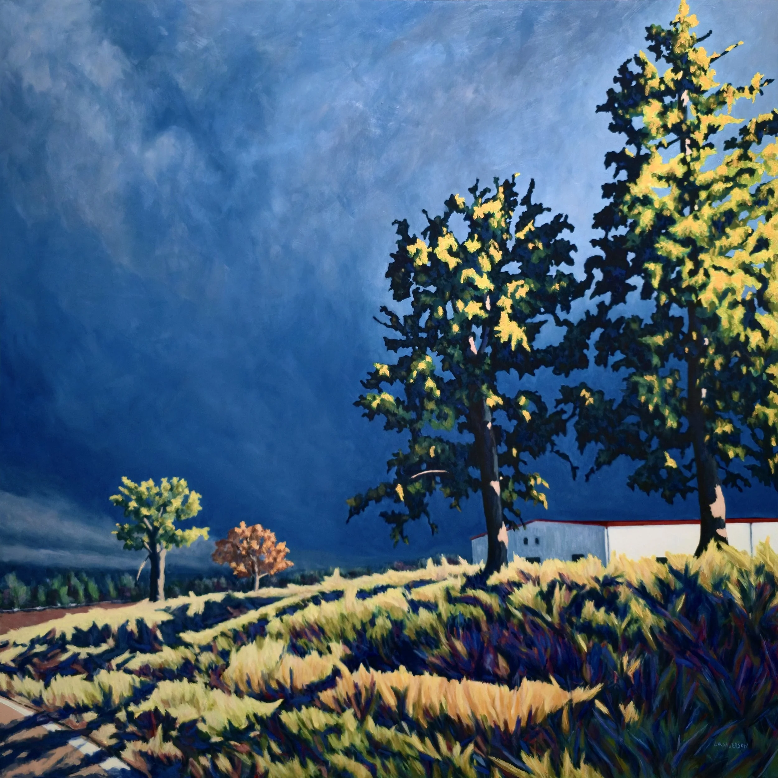 Late Afternoon
