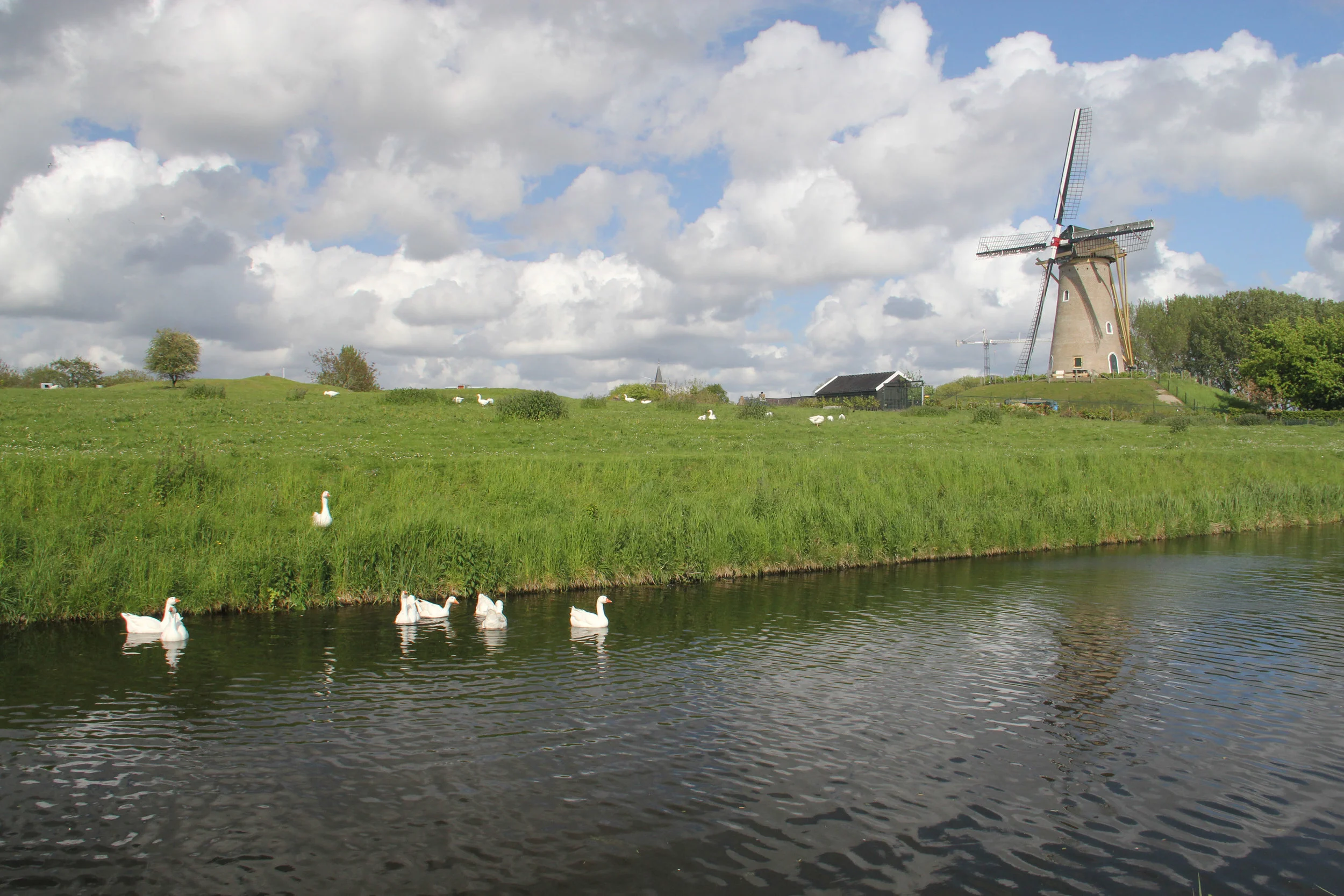 IMG_6291.jpg