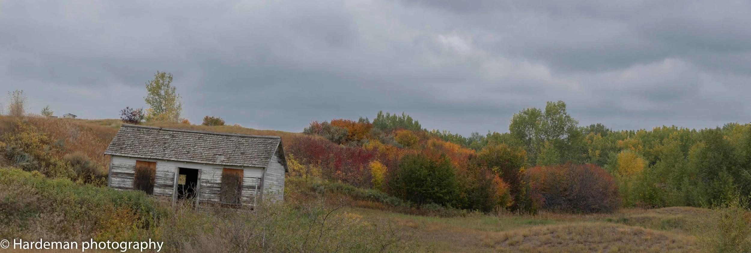 IMG_9345-Pano.jpg