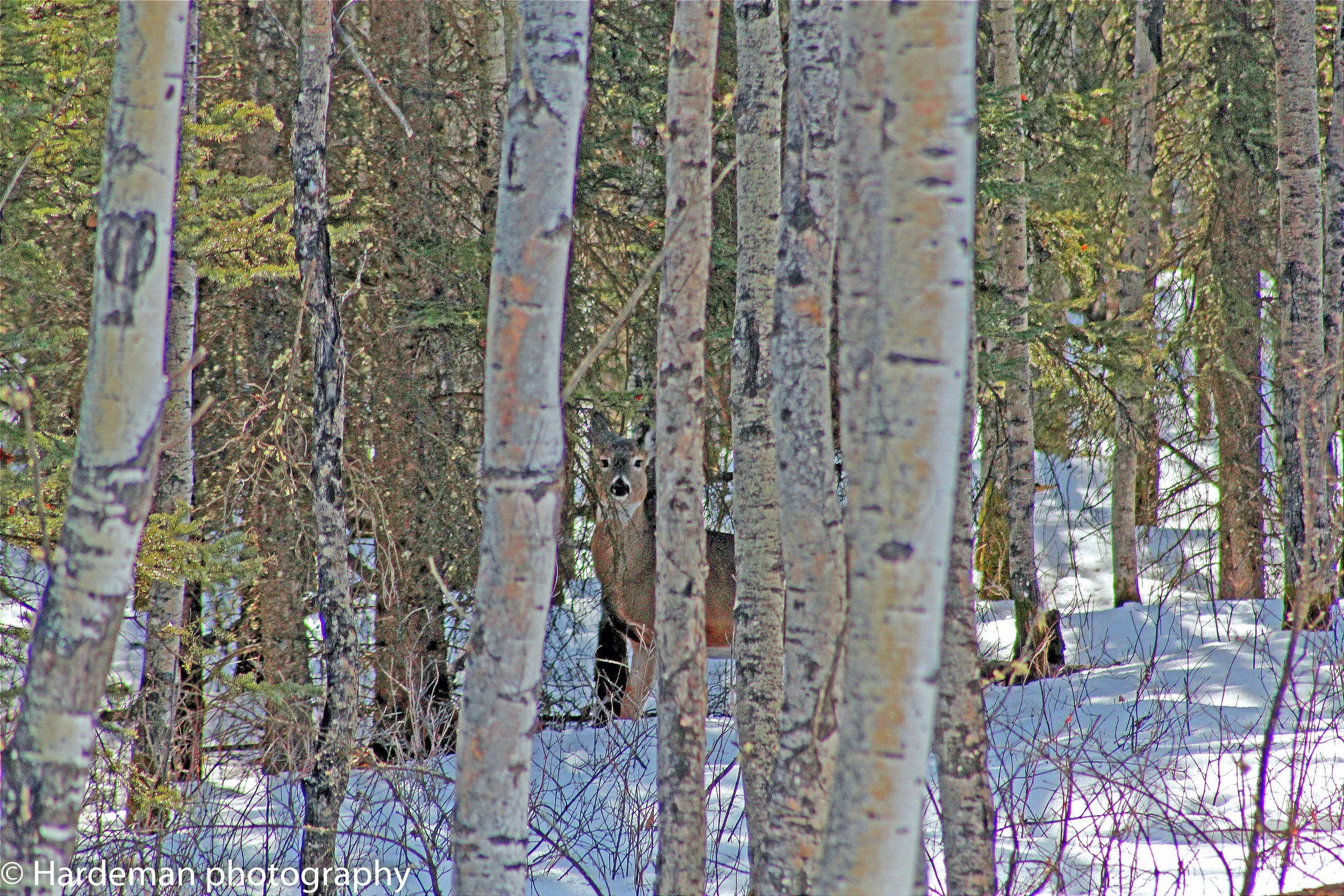 IMG_2875.jpg