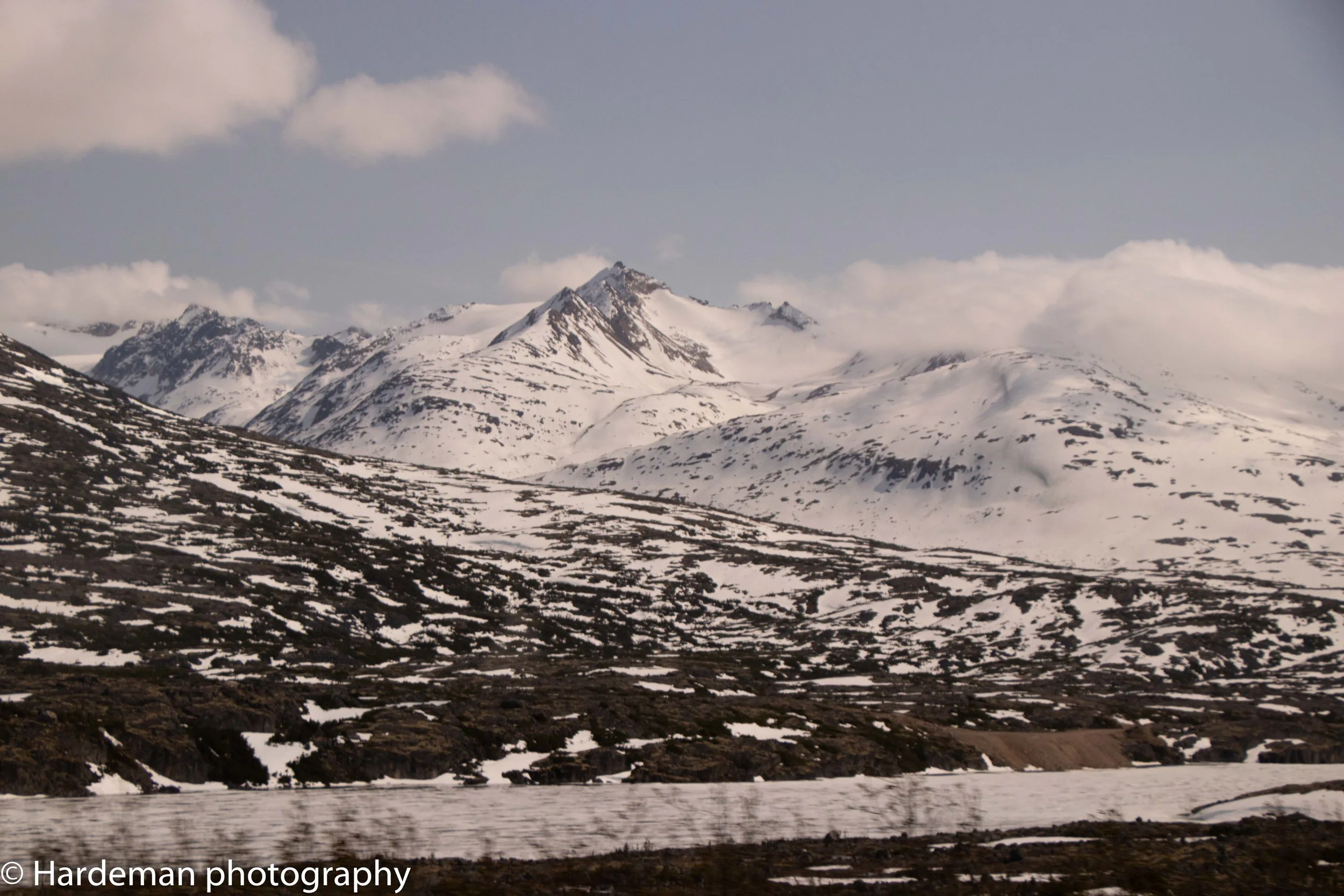 IMG_7006.jpg