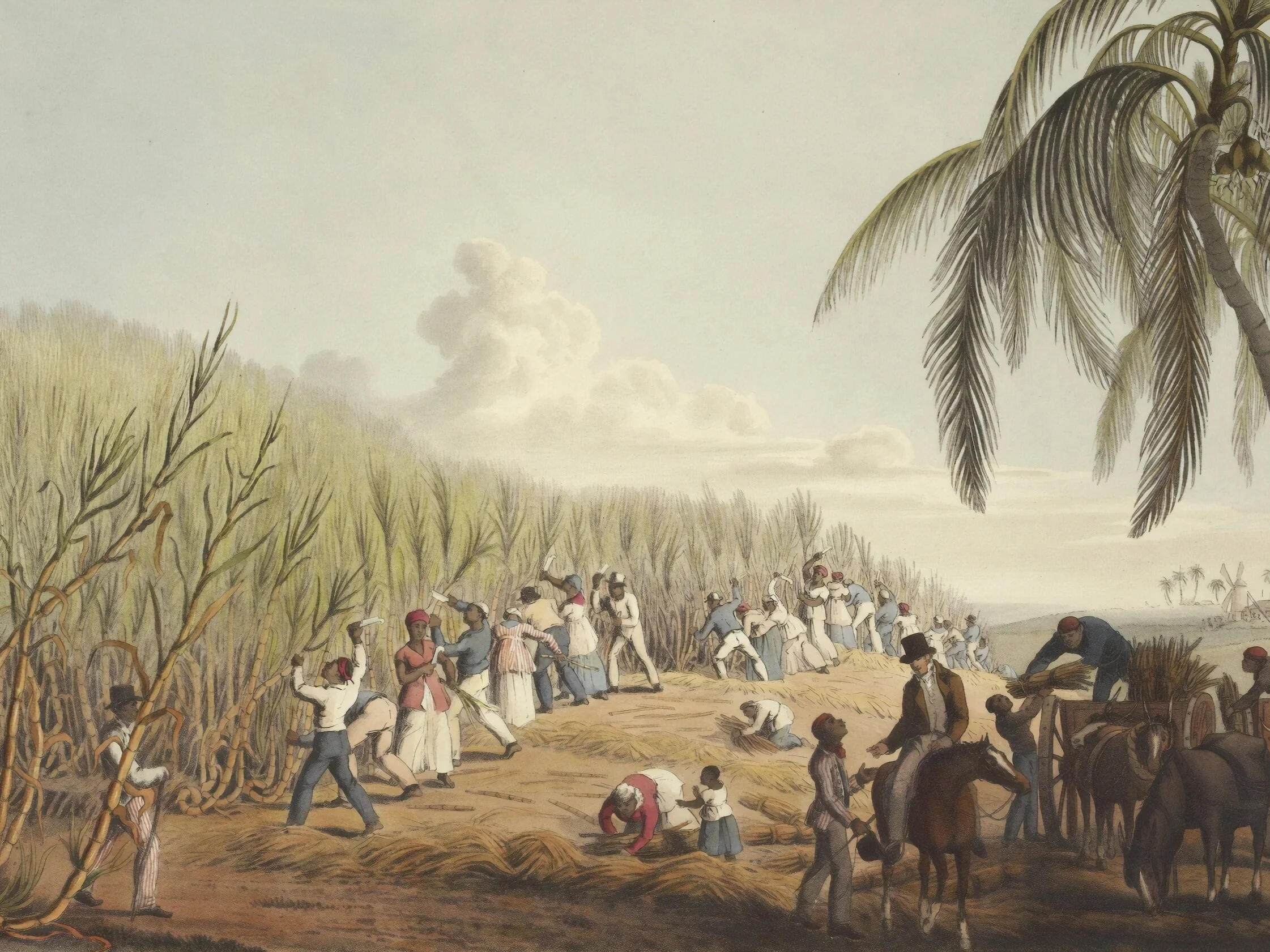A Brief History of Transatlantic Slavery 