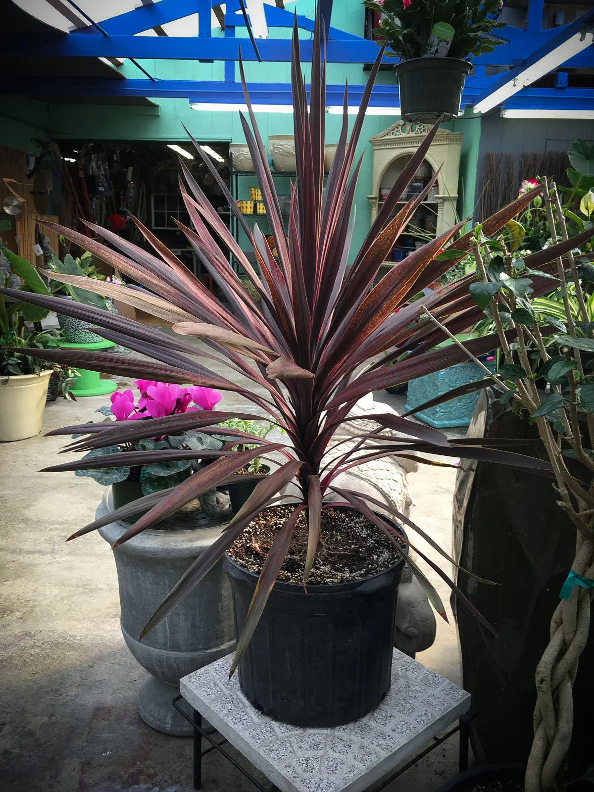 The Greenhouses — Whispering Pine Garden Center