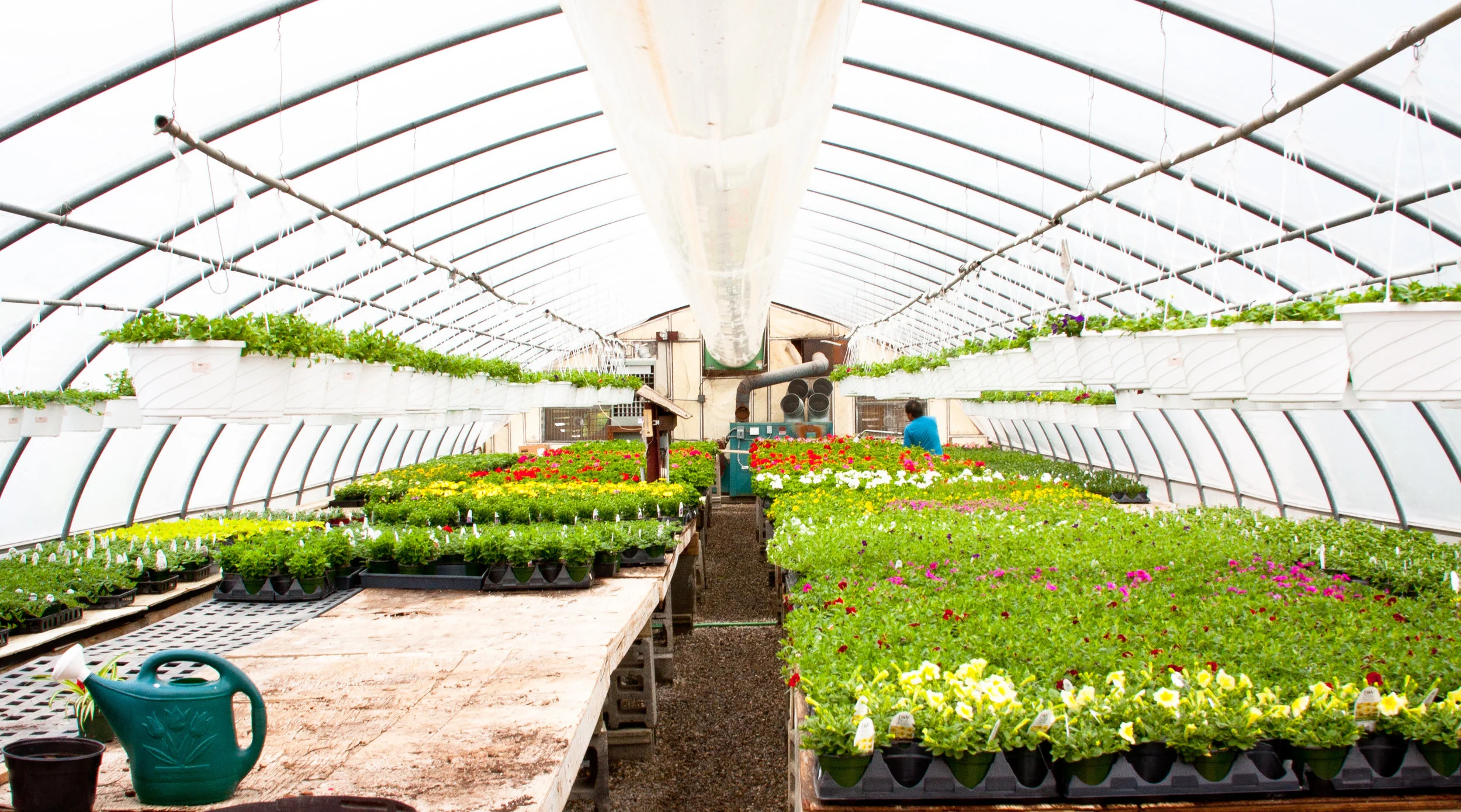 The Greenhouses — Whispering Pine Garden Center
