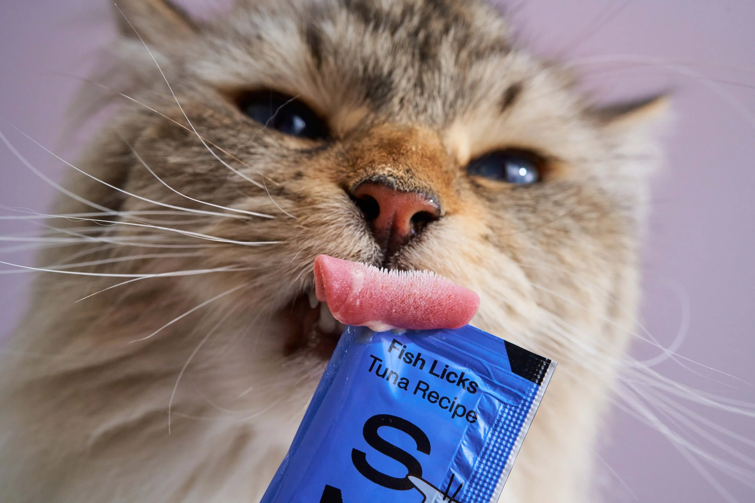 Shot_2C_Tuna_860_mh_v2.jpg