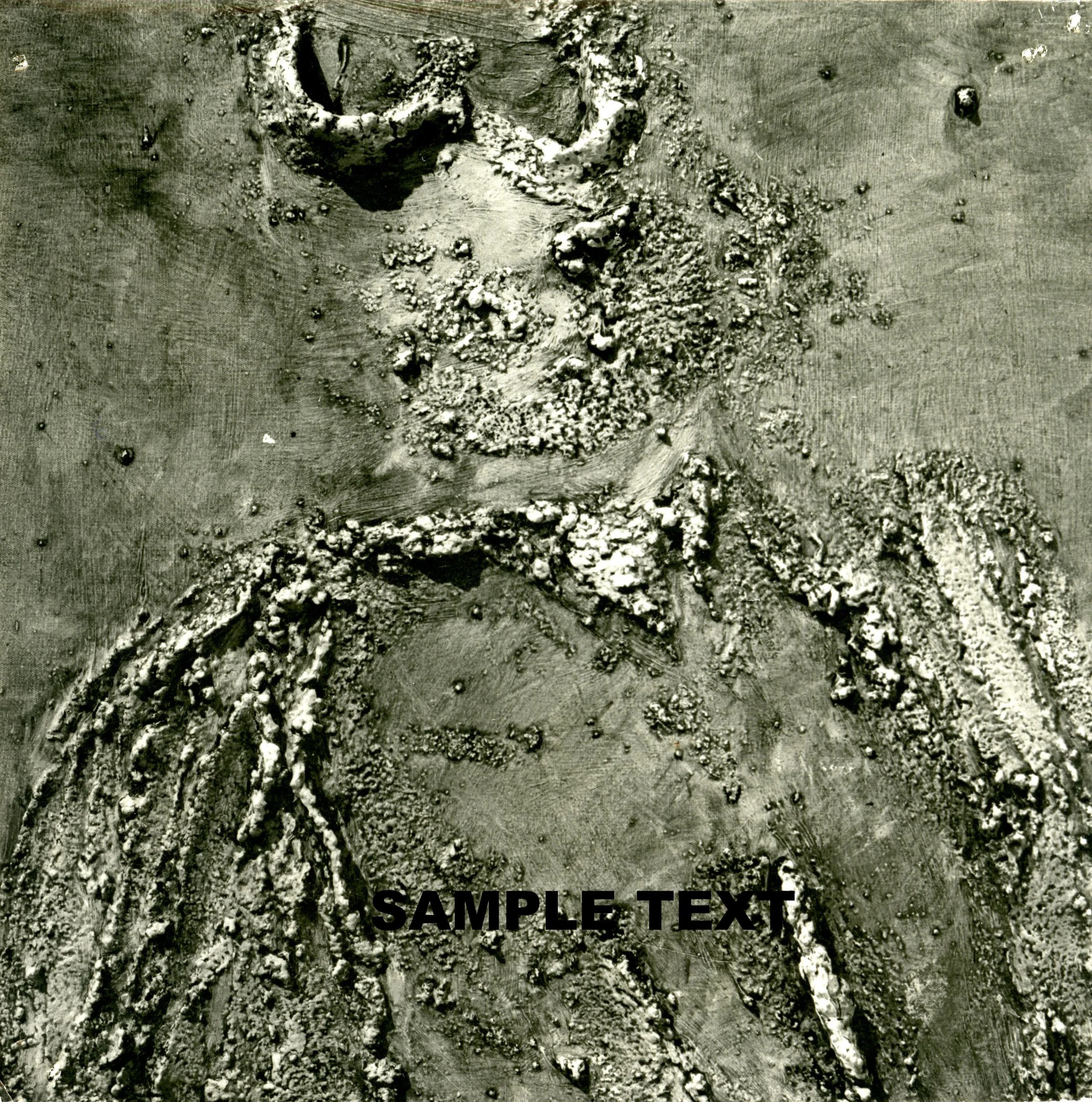 SJ1970_artwork_2.jpg