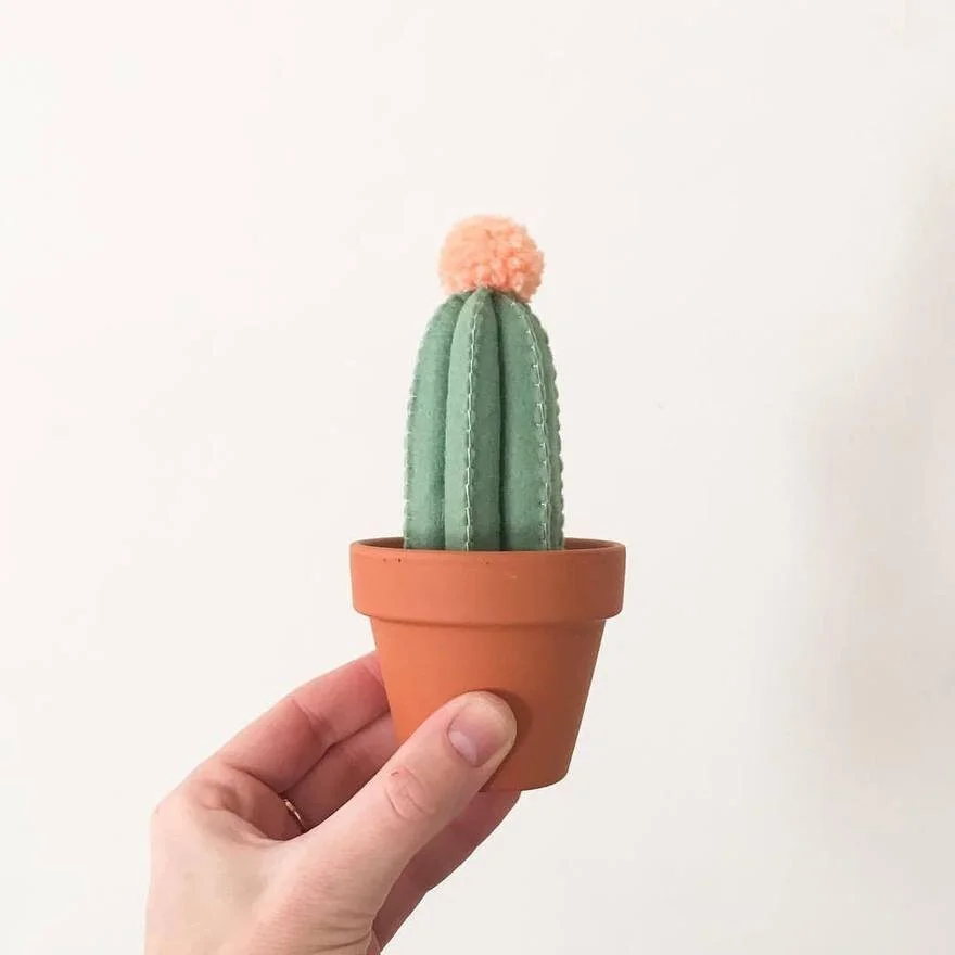 SAH-RAH Carefree cacti--handmade cactus made from felt topped with a pom-pom.