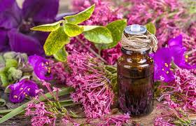 clary sage.jpeg