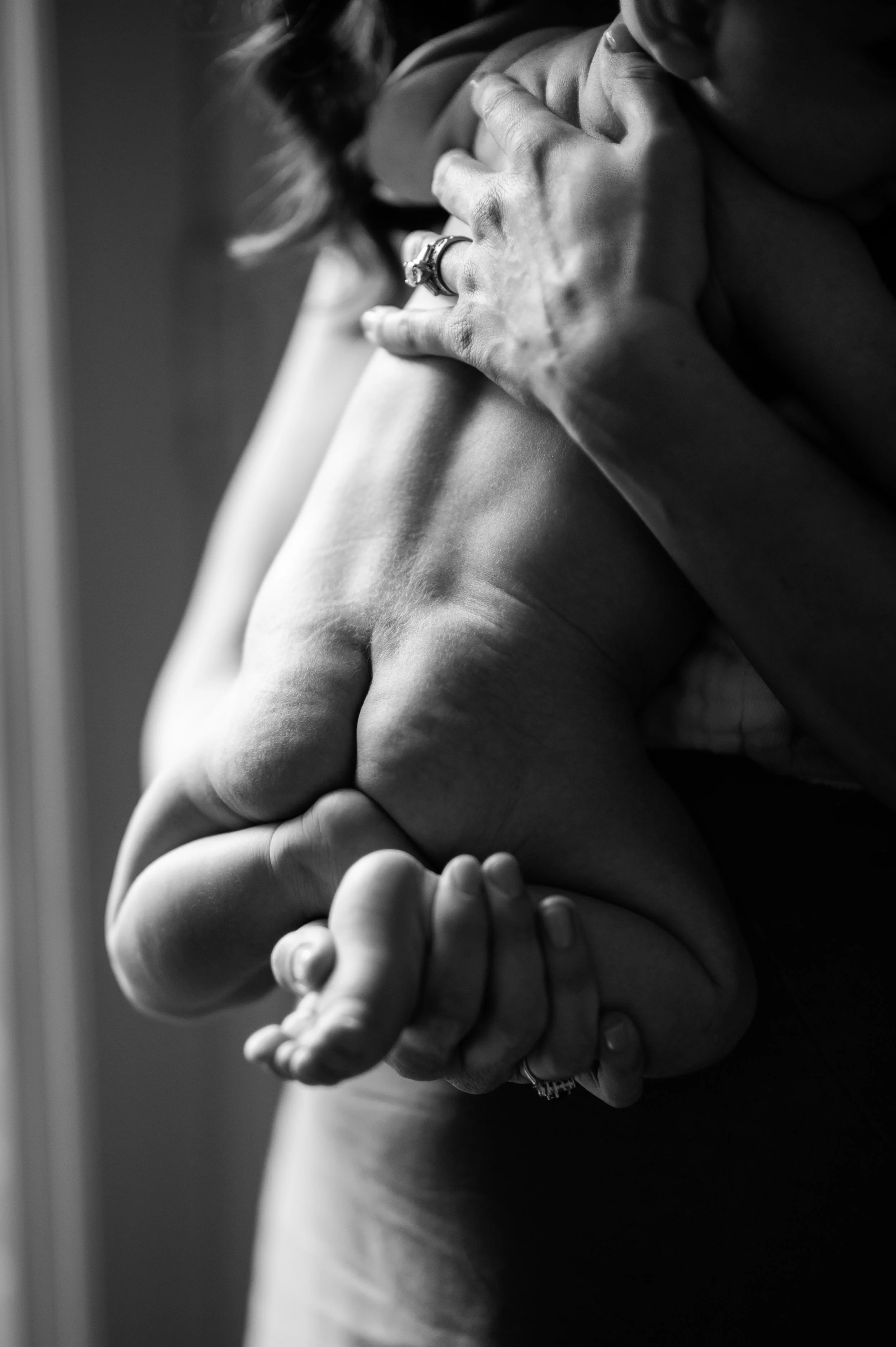 Brooklyn Family and Newborn Photographer 