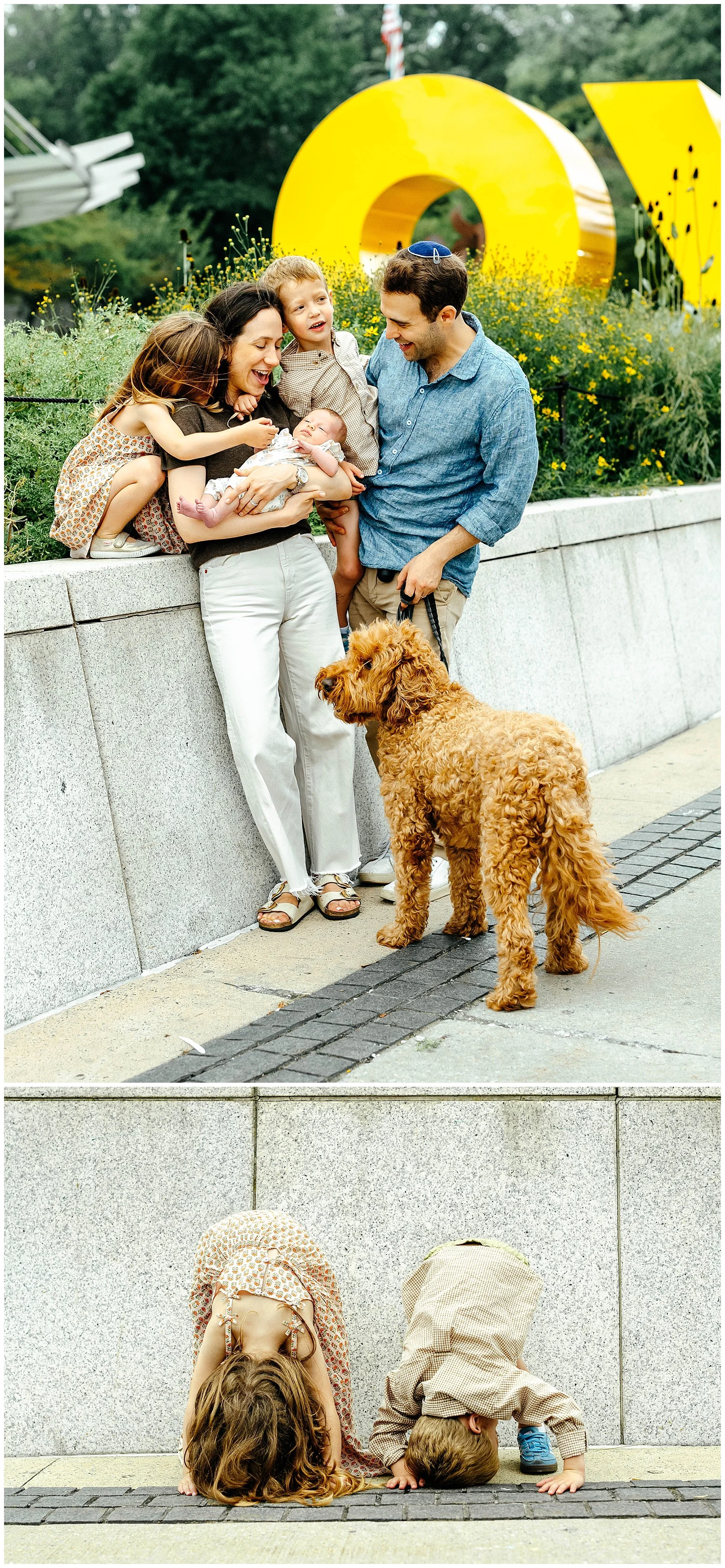 018_brooklyn-family-photographer-grand-army-plaza.jpg