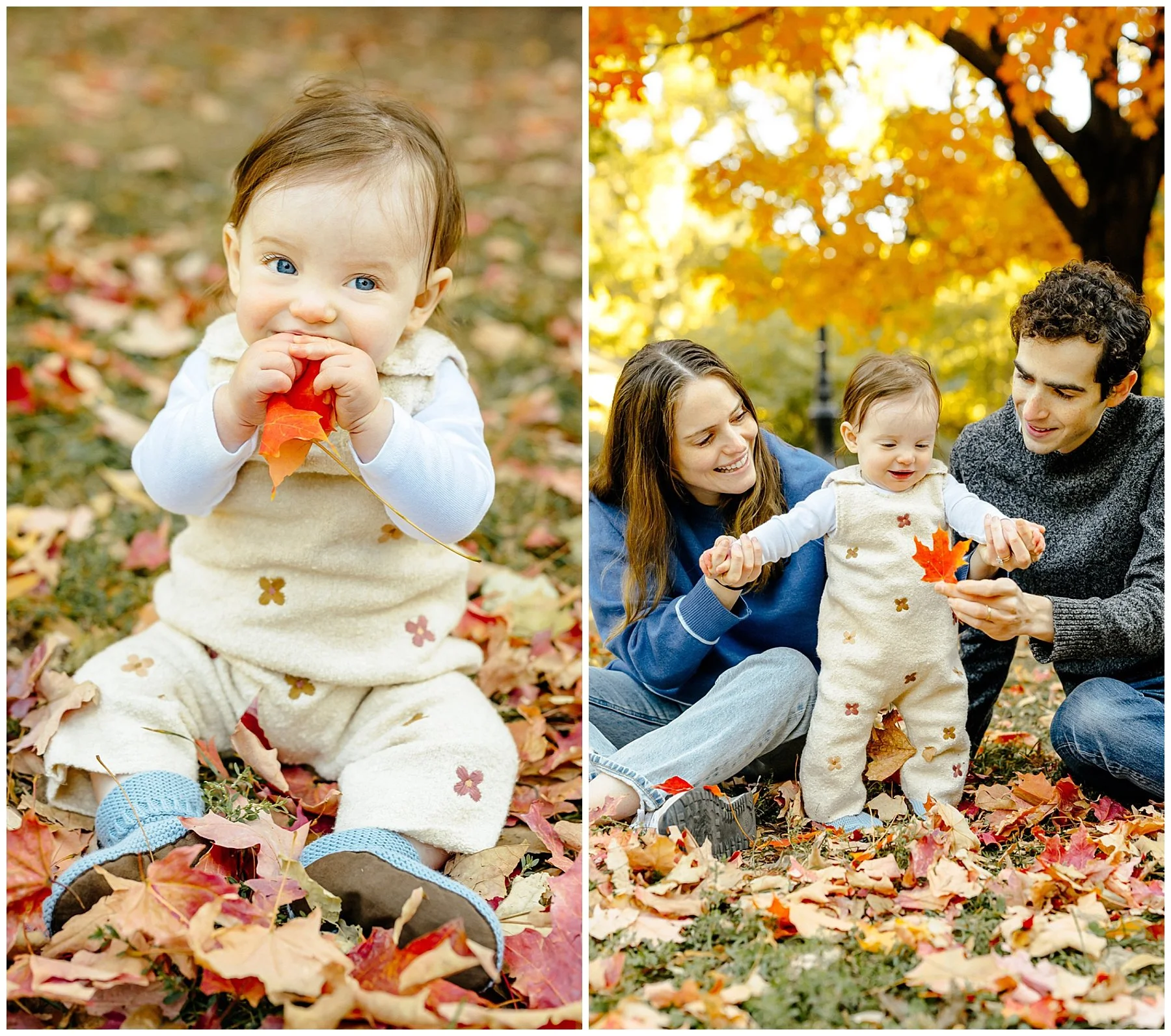 brooklyn-family-photographer-fall-foliage.jpg
