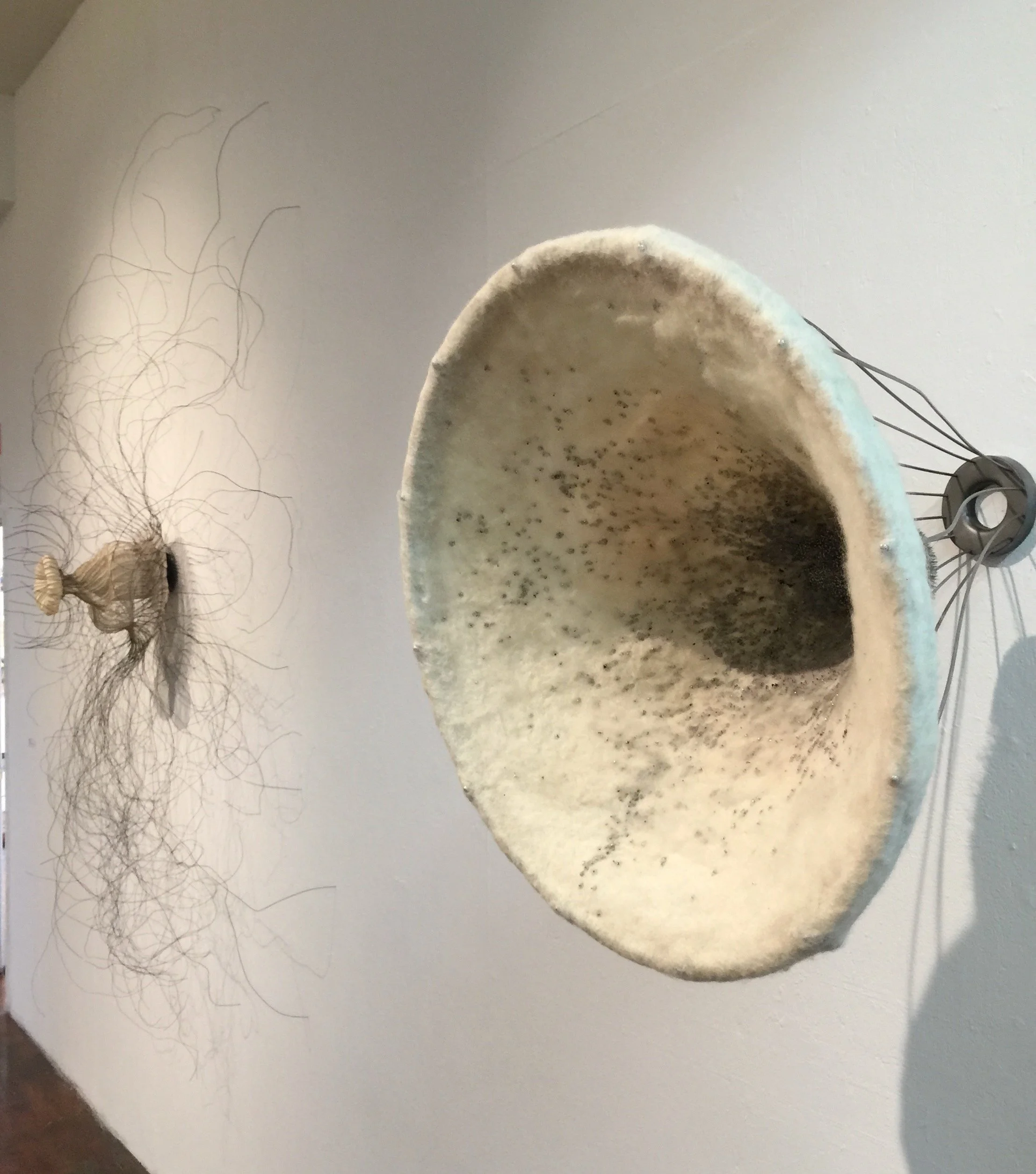 Lydia Tijoe Hall. felt, wire, metal, straight pins