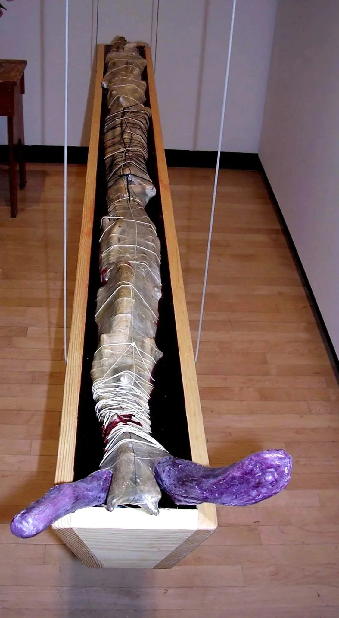 Crone  35"x65"x10"  wood, driftwood, thread, hog gut, paint, wax, wire cable (Copy)