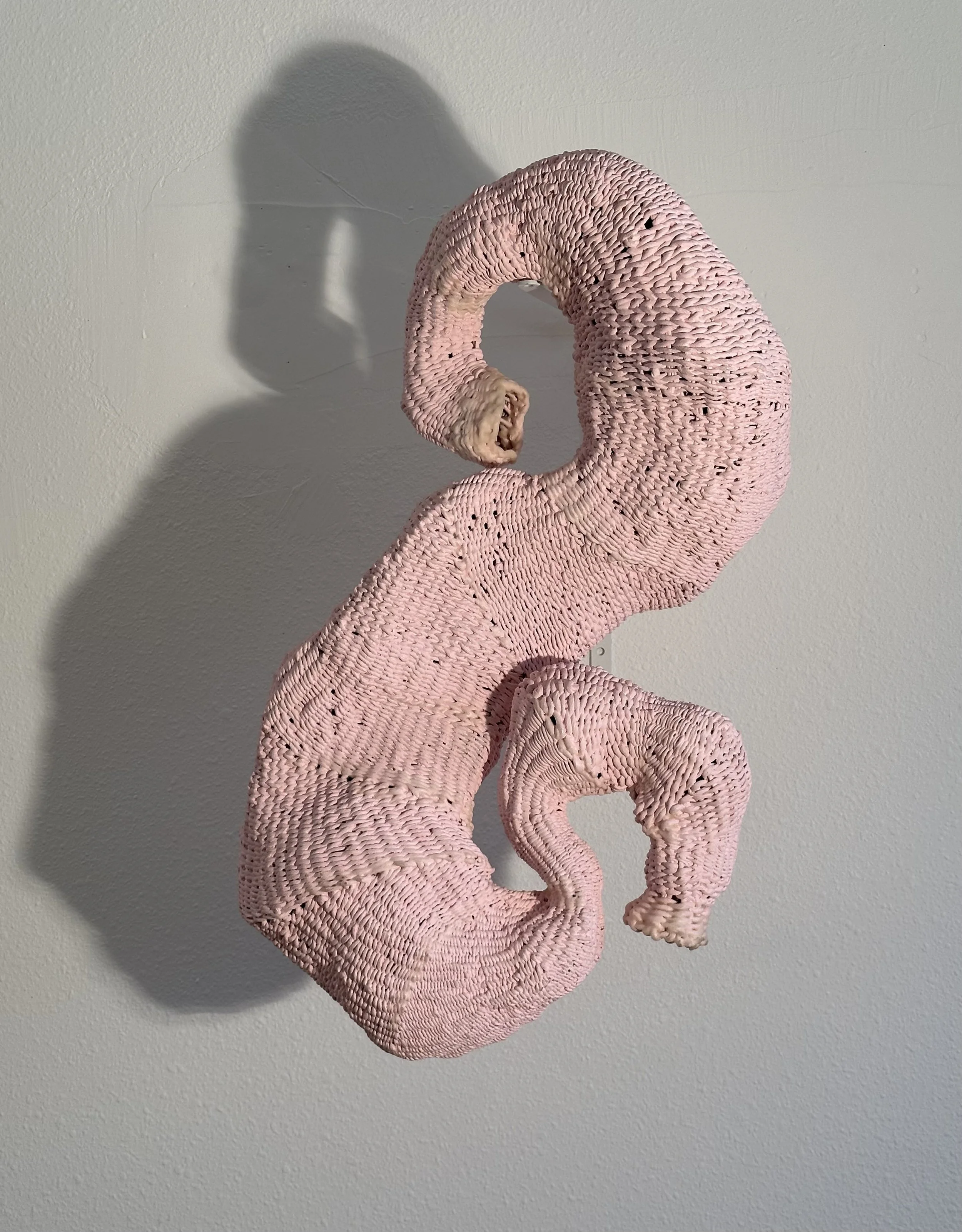 En Gendered Vessel, view a
2022
H- 29 inches x W- 21 inches x D- 7 inches
paper cord, house paint, wax, twinning
Playing upon the idea of a gendered body, (en) gendered vessel reimagines the vessel as an imaginary organ, womb-like with associations t