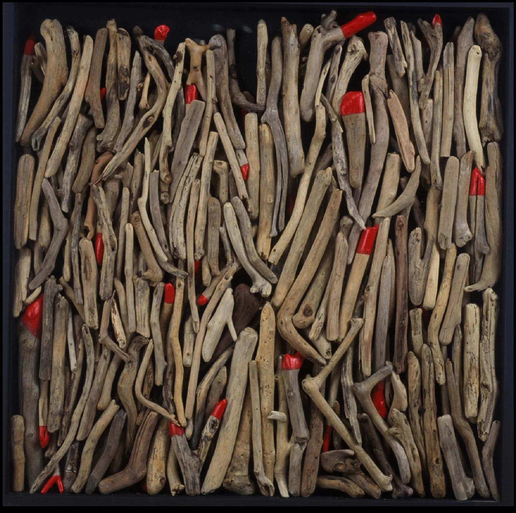 Articulation
2004
30 in x 30 in
Driftwood, liquid rubber, wooden box