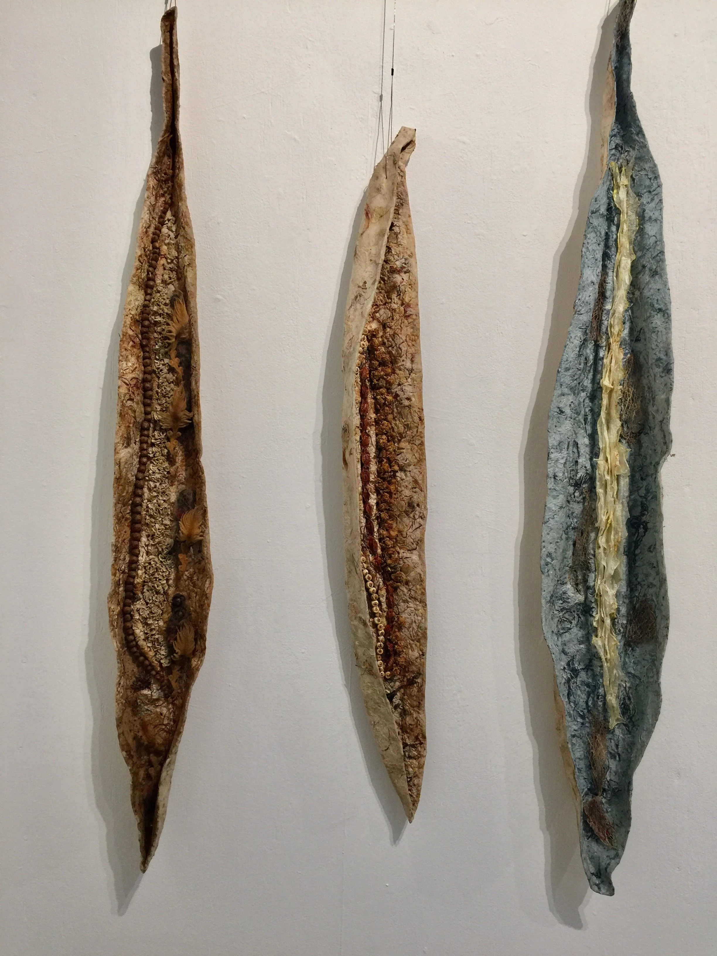 Gail Fraser, paper, seed pods