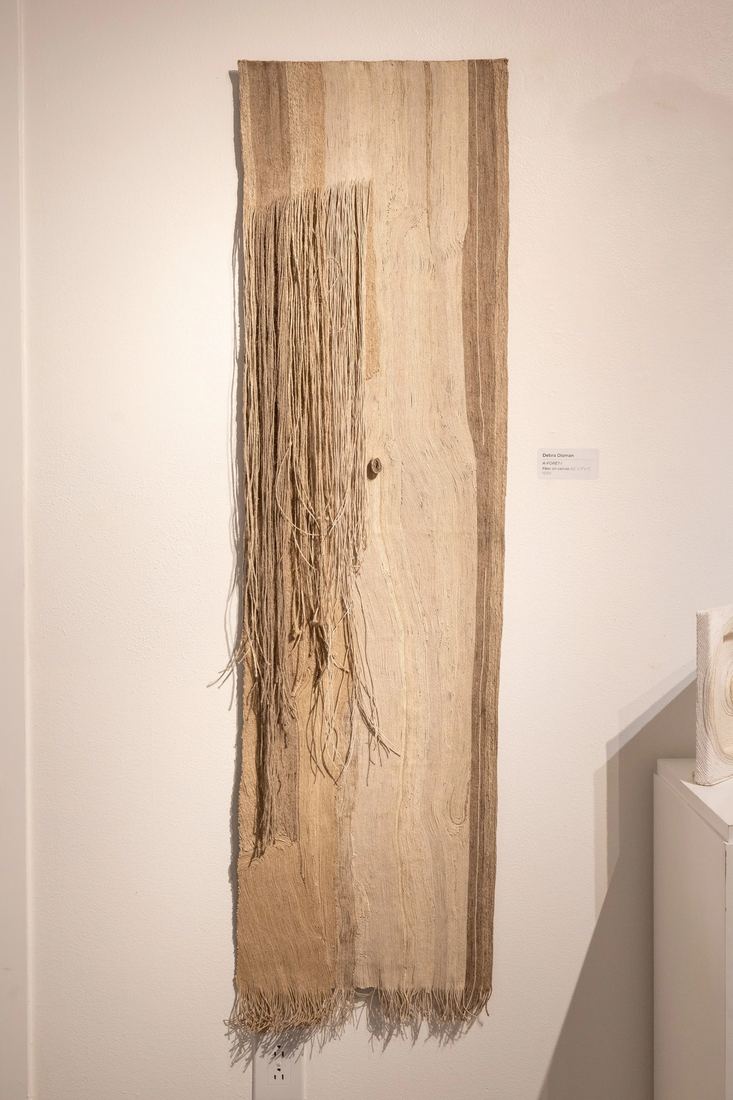 Debra Disman