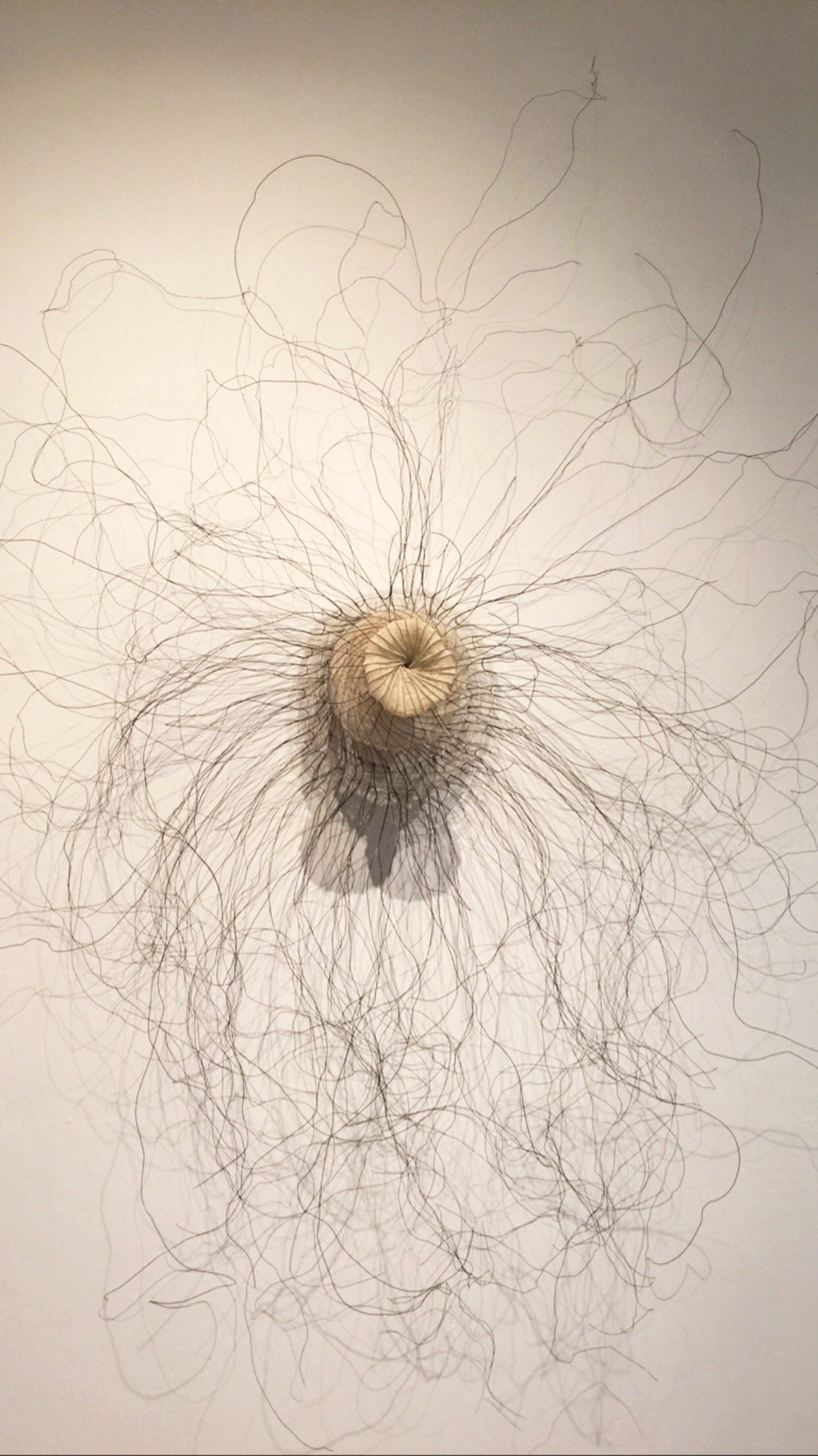 Lydia Tijoe Hall, felt, wire