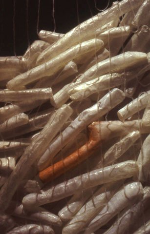 Repository, detail
