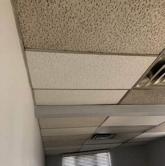 Nyc Acoustic Ceiling Tile Painting, Is It Safe To Paint Ceiling Tiles