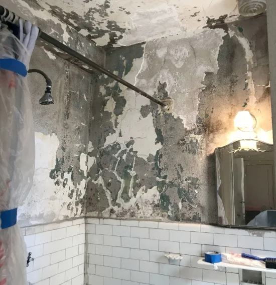 The scary bathroom before we started