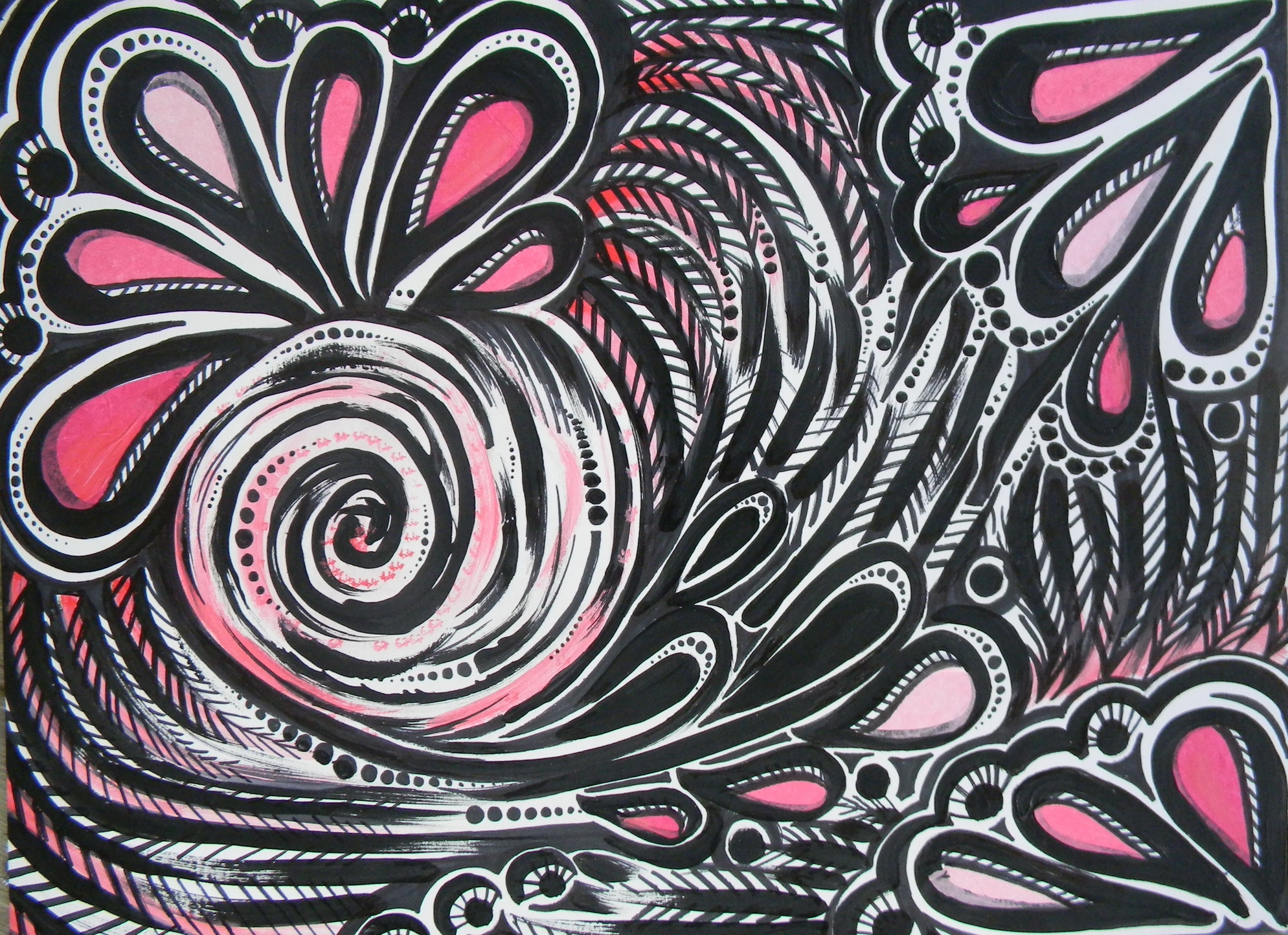 Pink Peacock