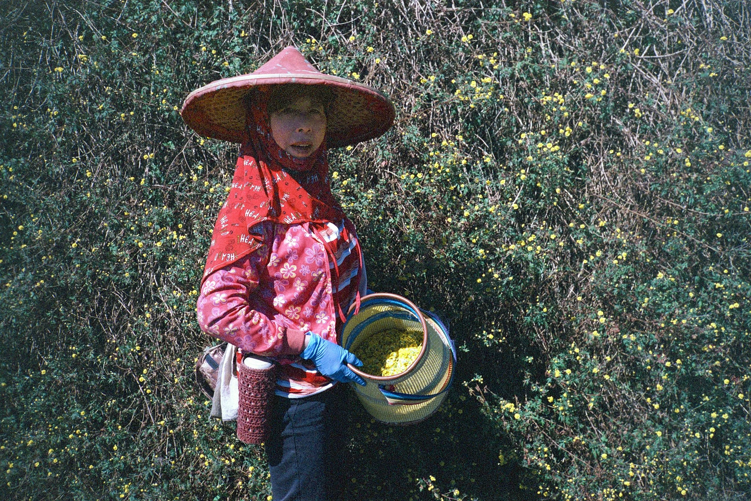 Untitled (2) copykk.jpg